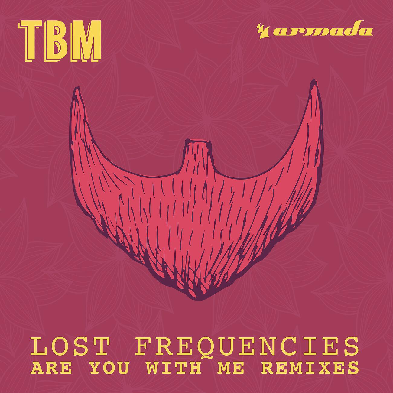 Lost Frequencies - Are You With Me (Kungs Extended Remix)