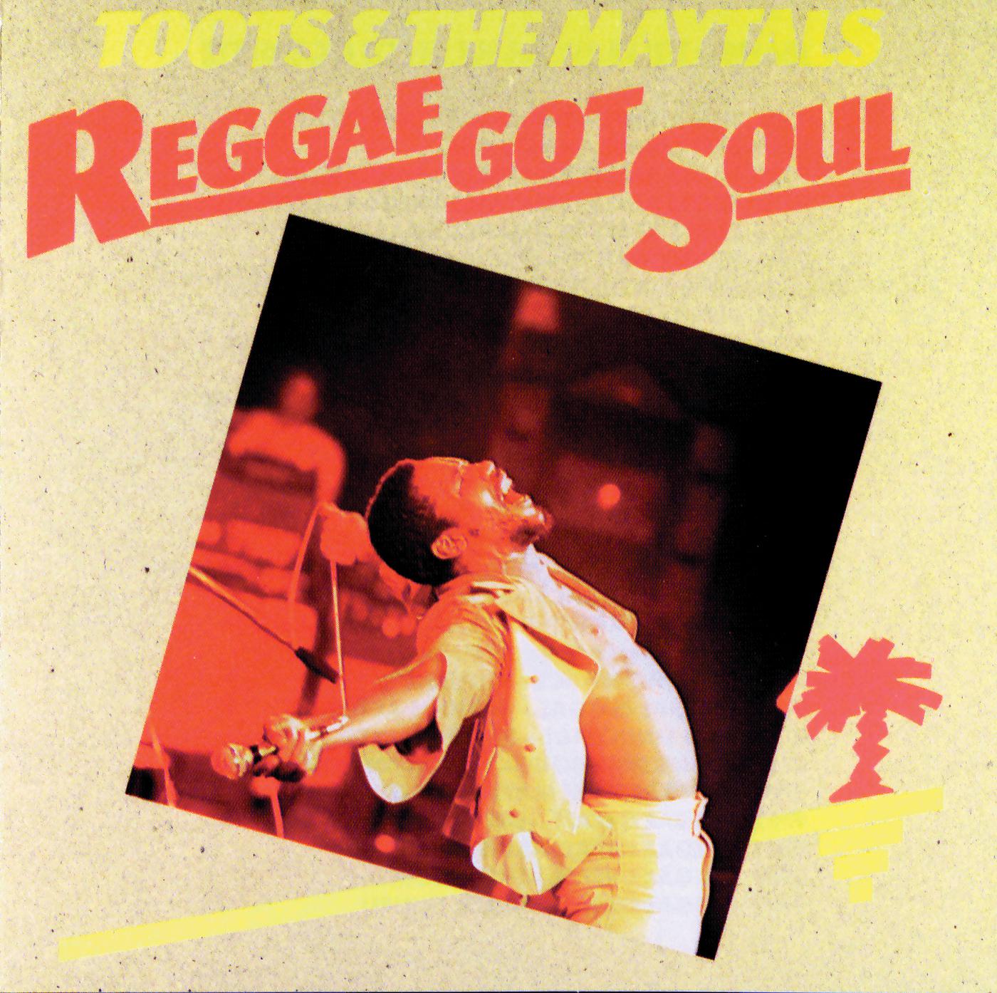 Постер альбома Reggae Got Soul