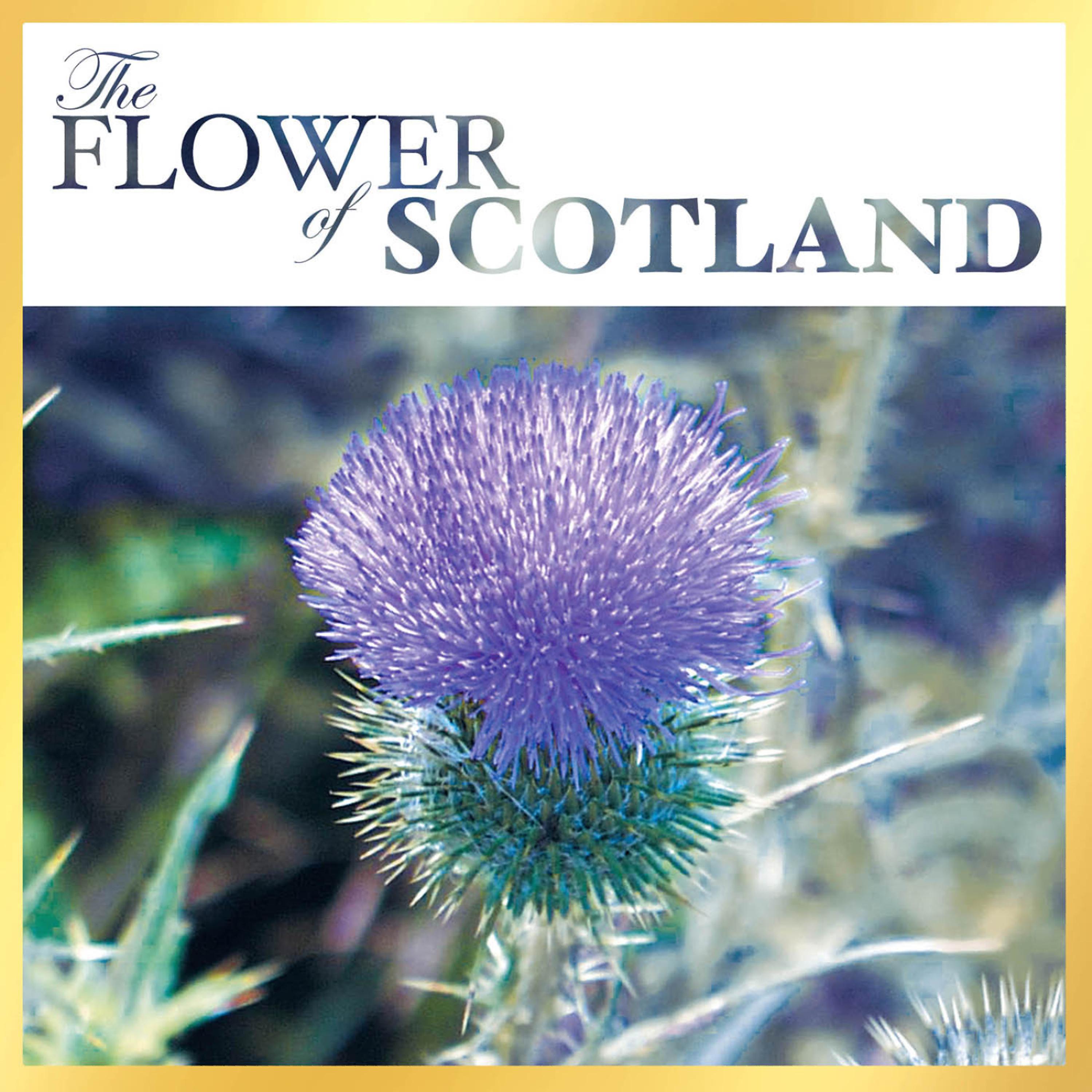 Постер альбома The Flower of Scotland