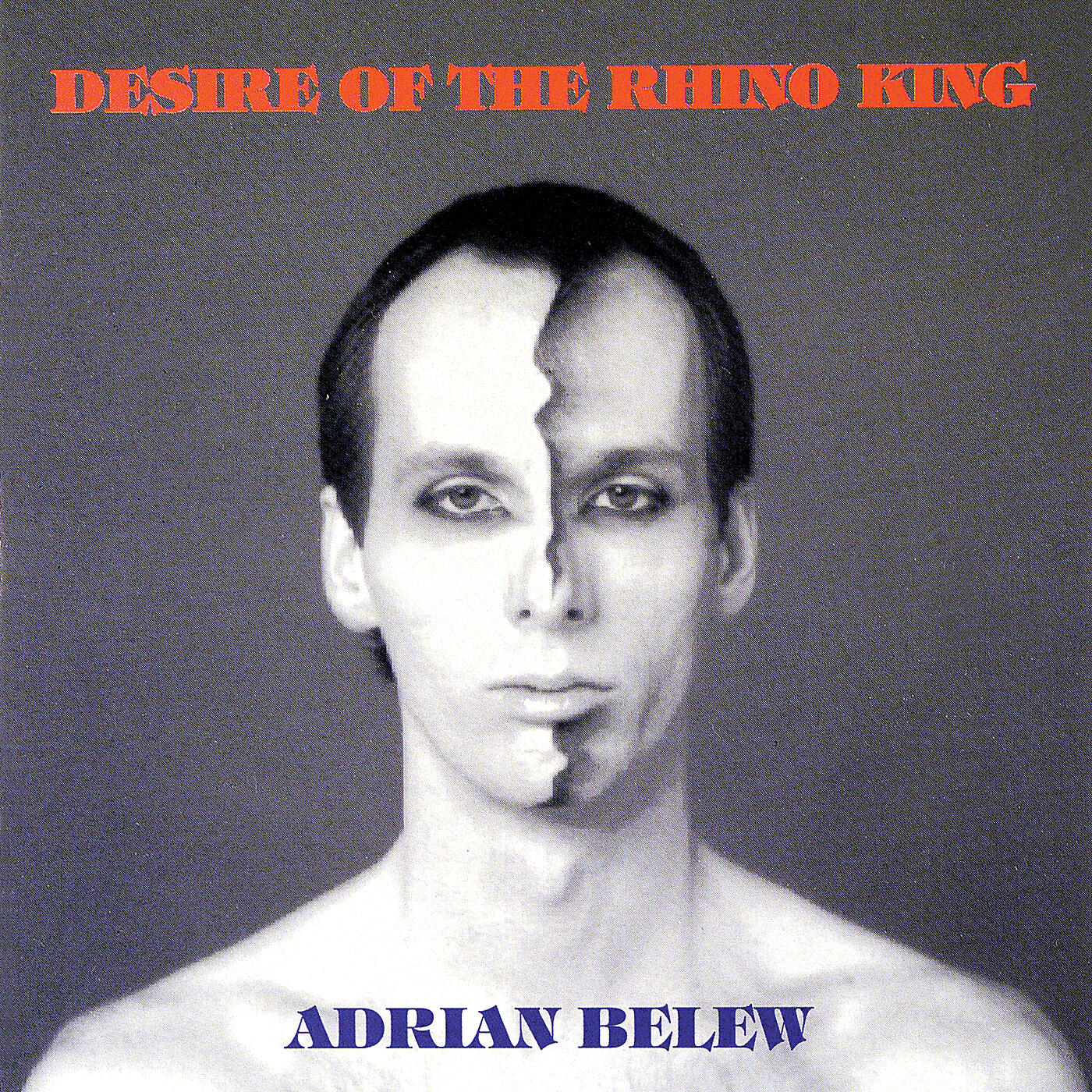 Adrian Belew - Big Electric Cat