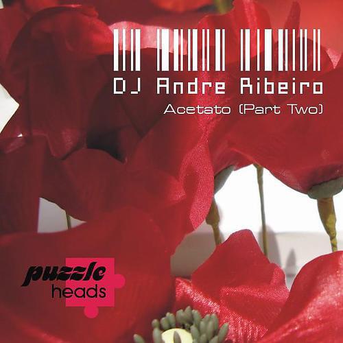 DJ Andre Ribeiro - 33RPM