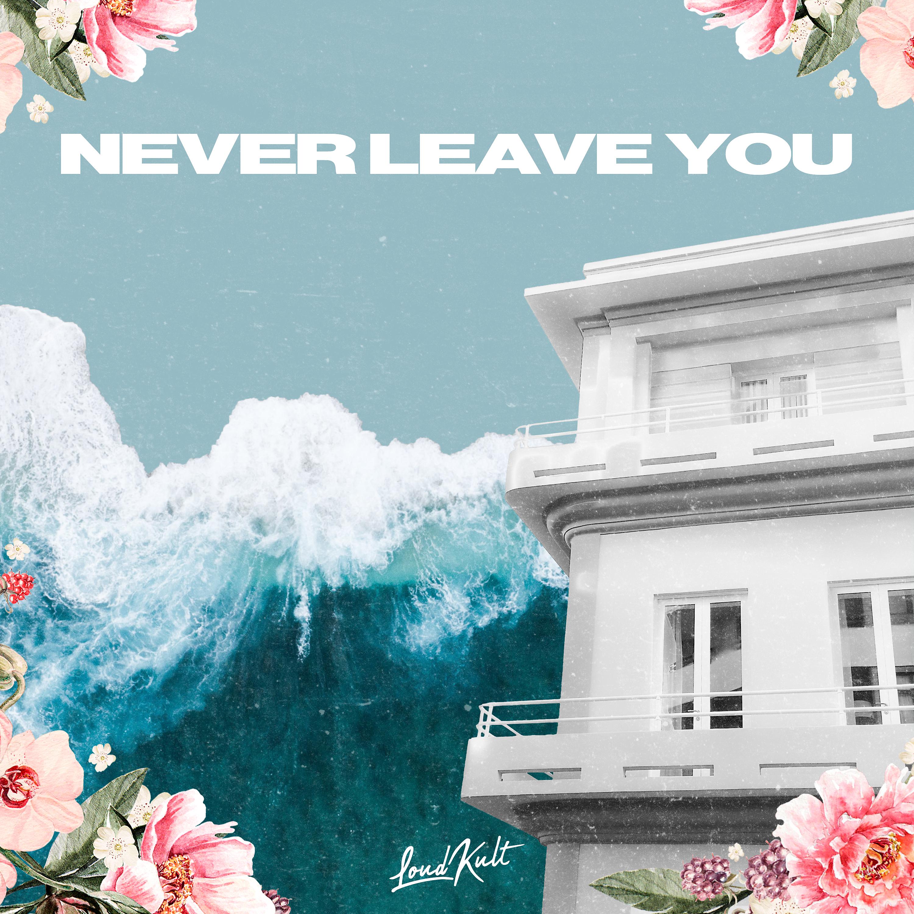 Постер альбома Never Leave You