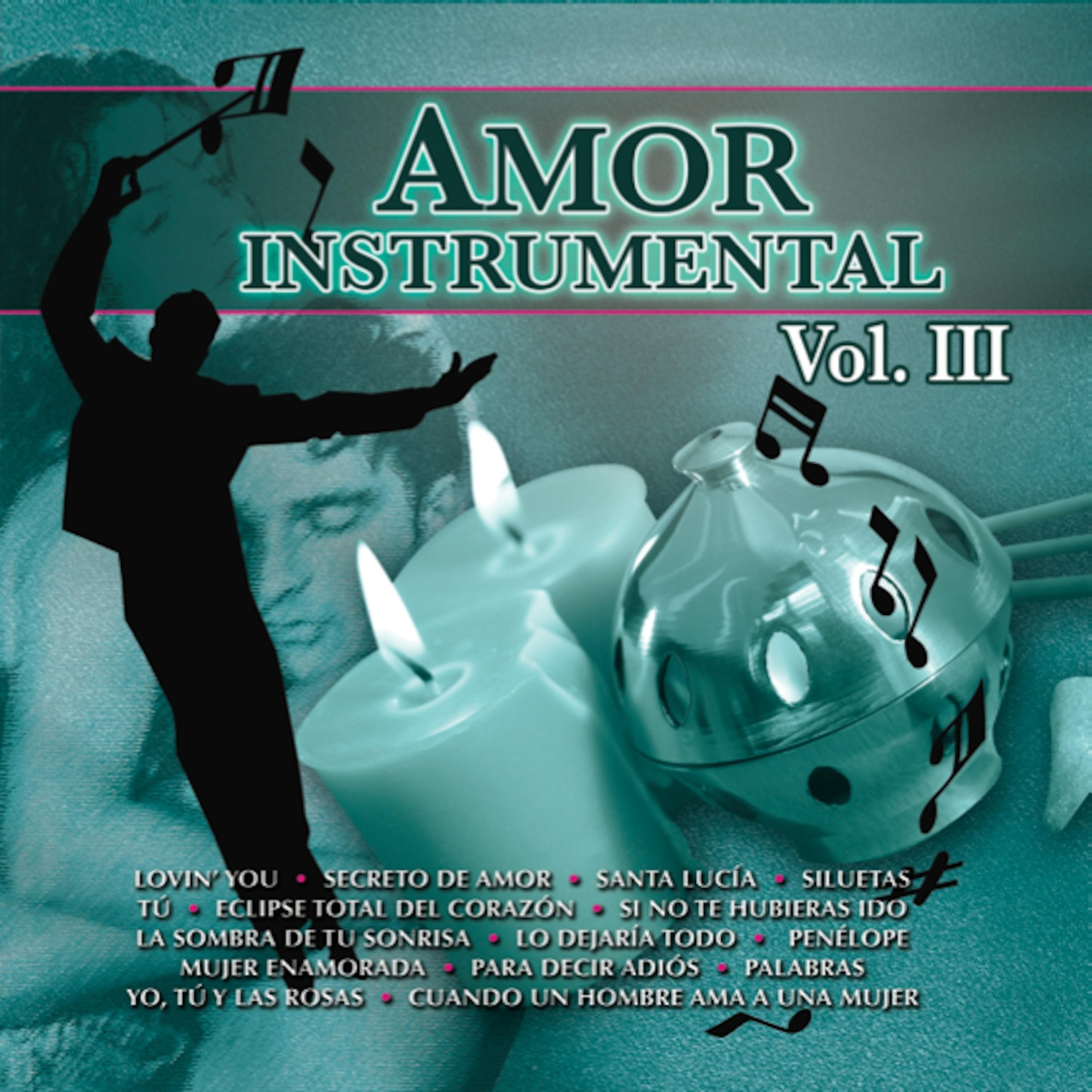 Постер альбома Amor Instrumental Volumen 3