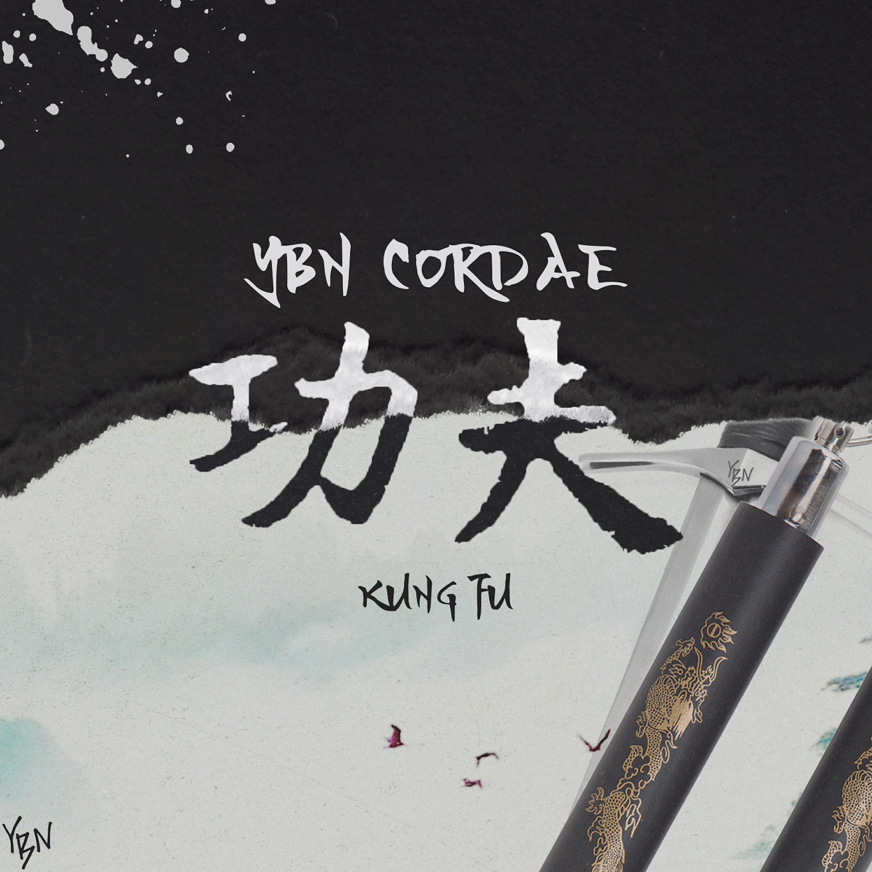 YBN Cordae - Kung Fu