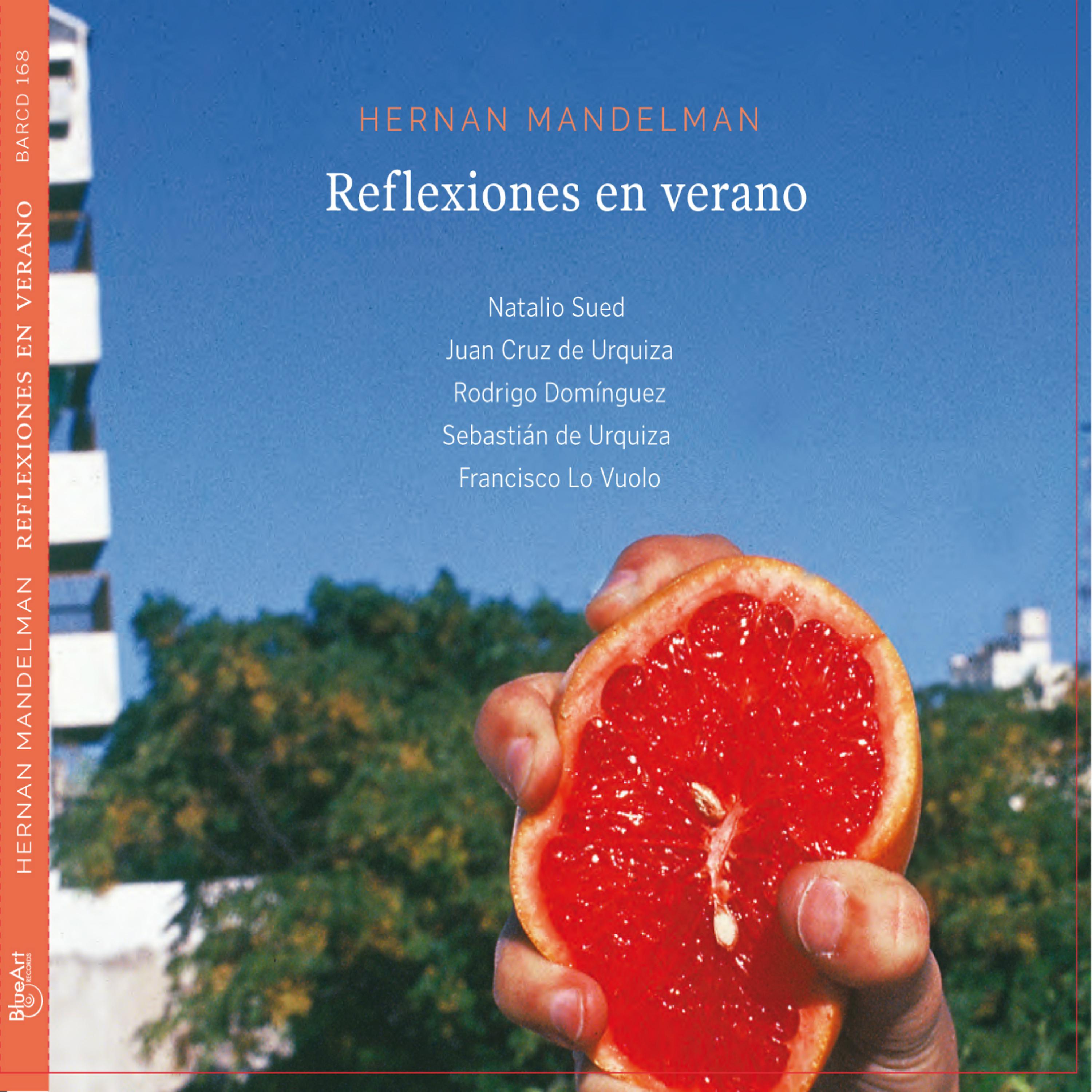 Постер альбома Reflexiones en Verano