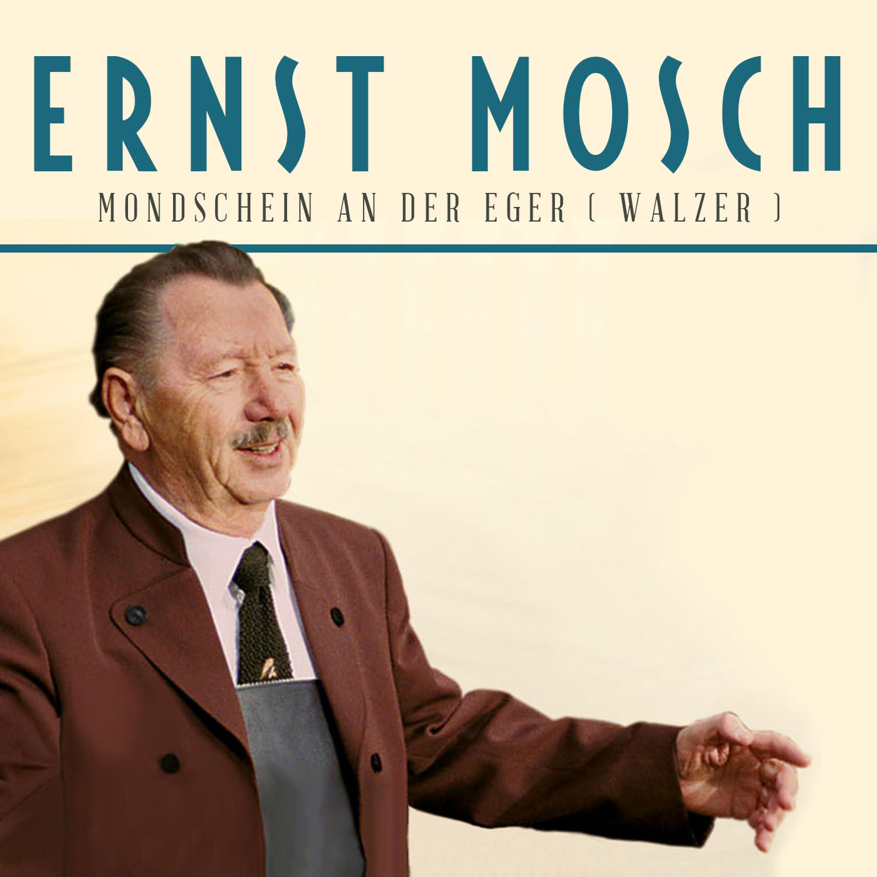 Постер альбома Mondschein an der Eger ( Walzer )