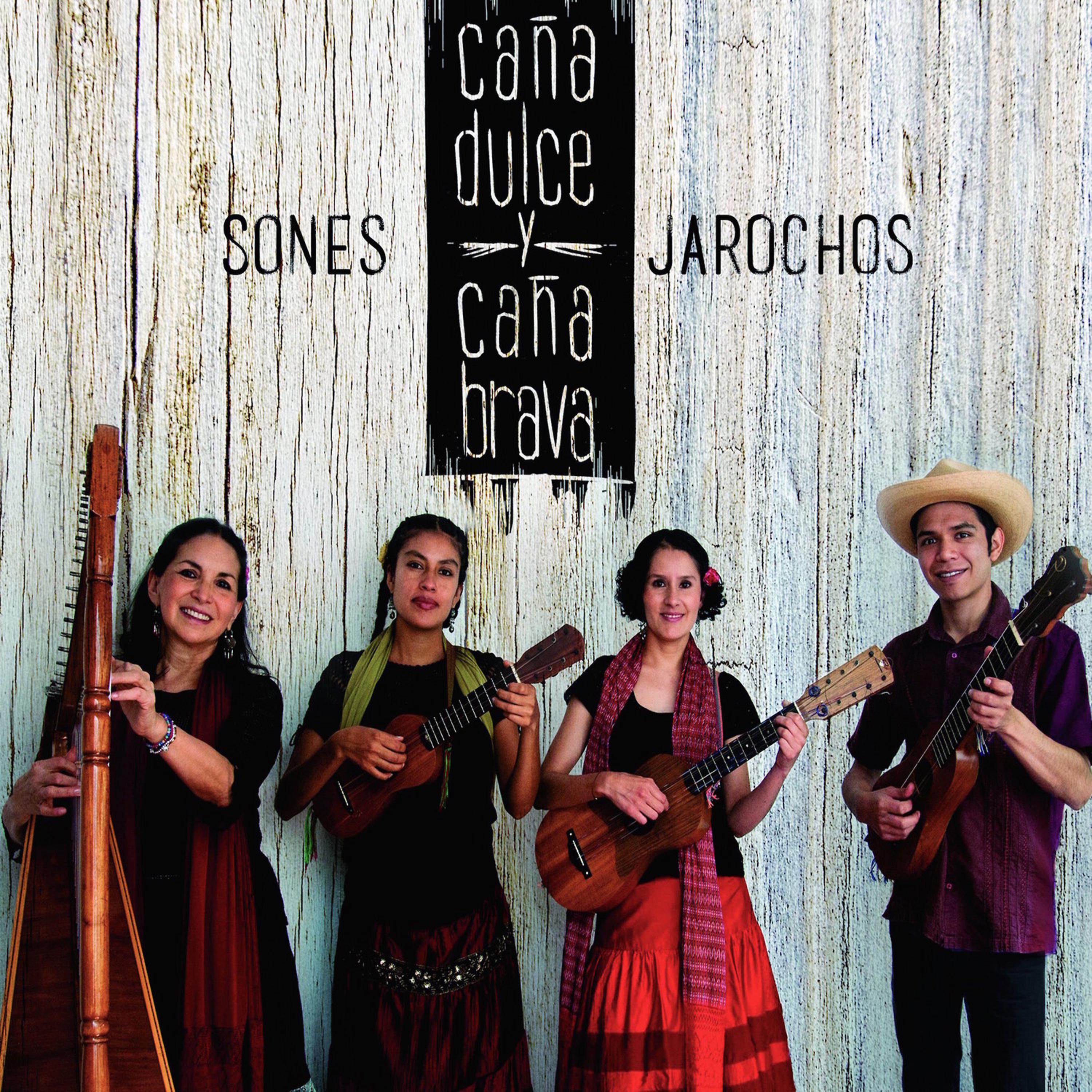 Постер альбома Sones Jarochos