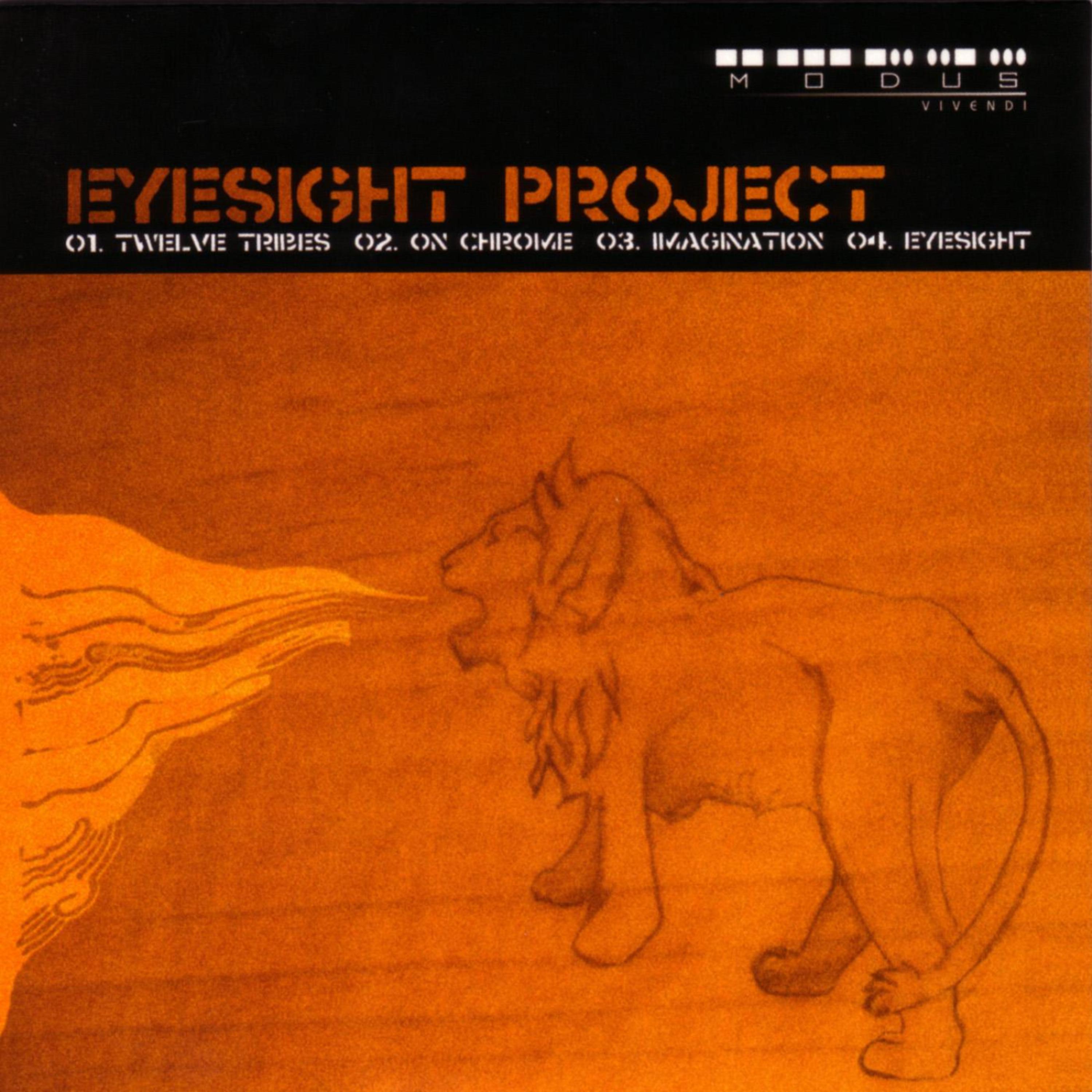 Постер альбома Eyesight Project