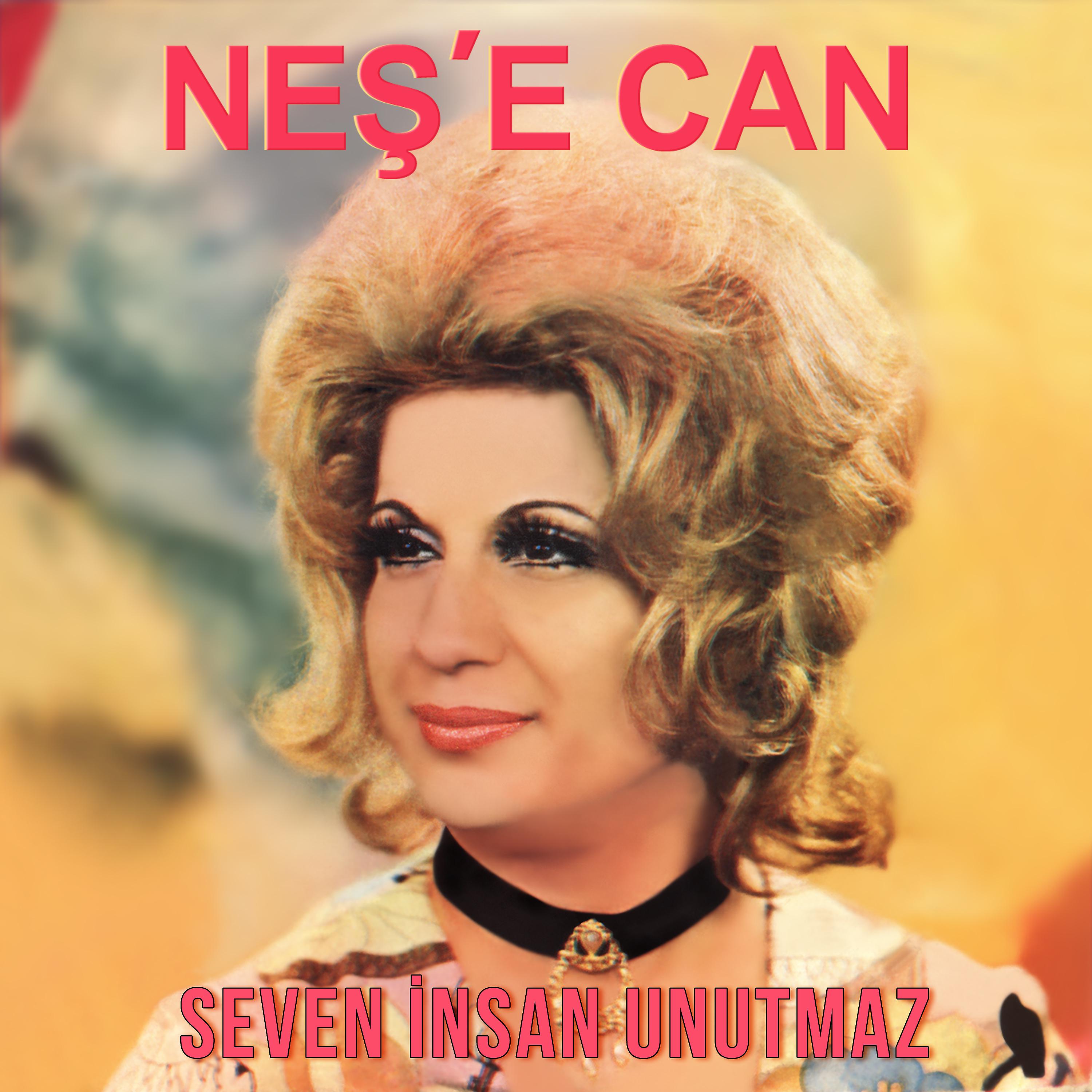 Постер альбома Seven İnsan Unutmaz