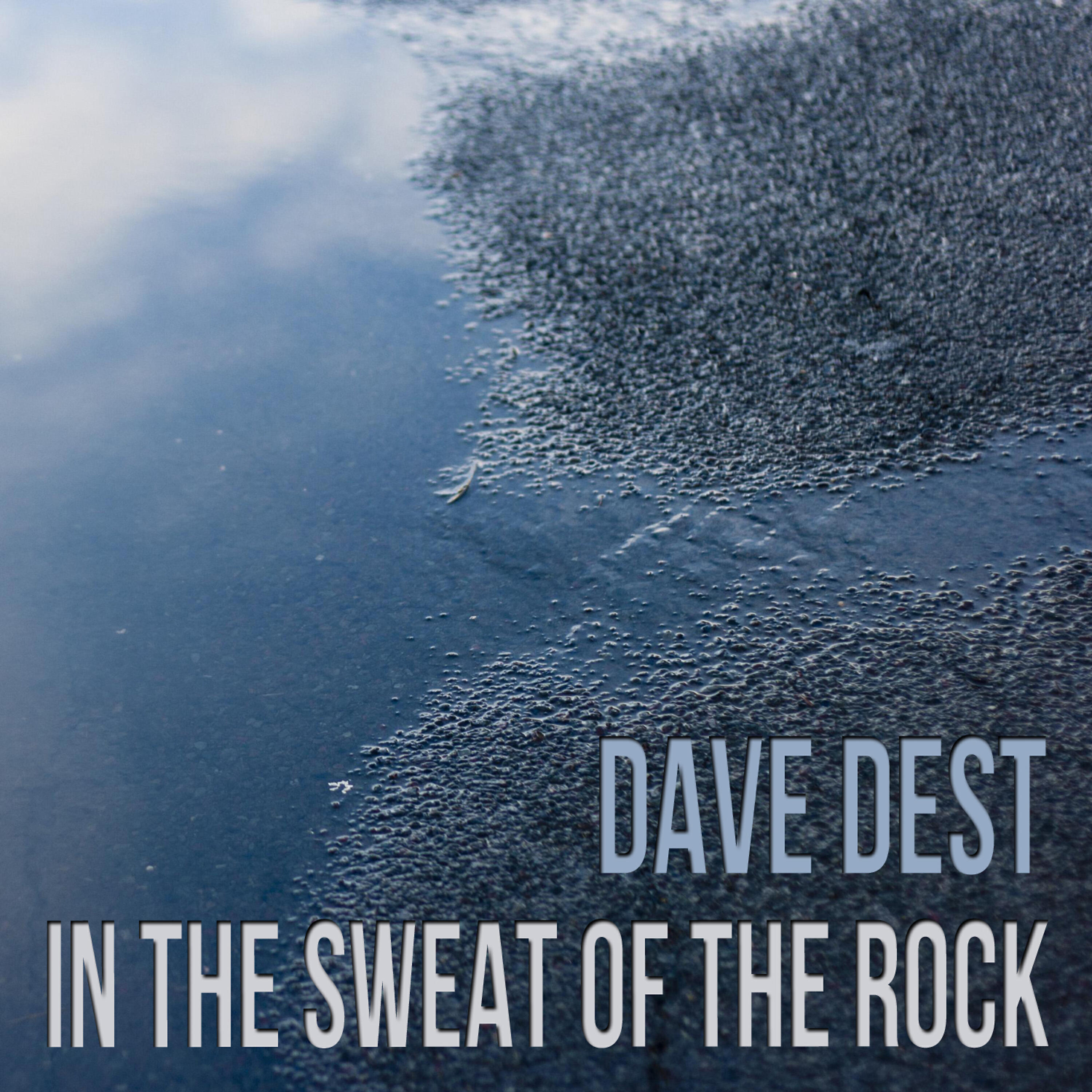 Dave Dest - I Have Become Comfortably Numb (Unplugged)