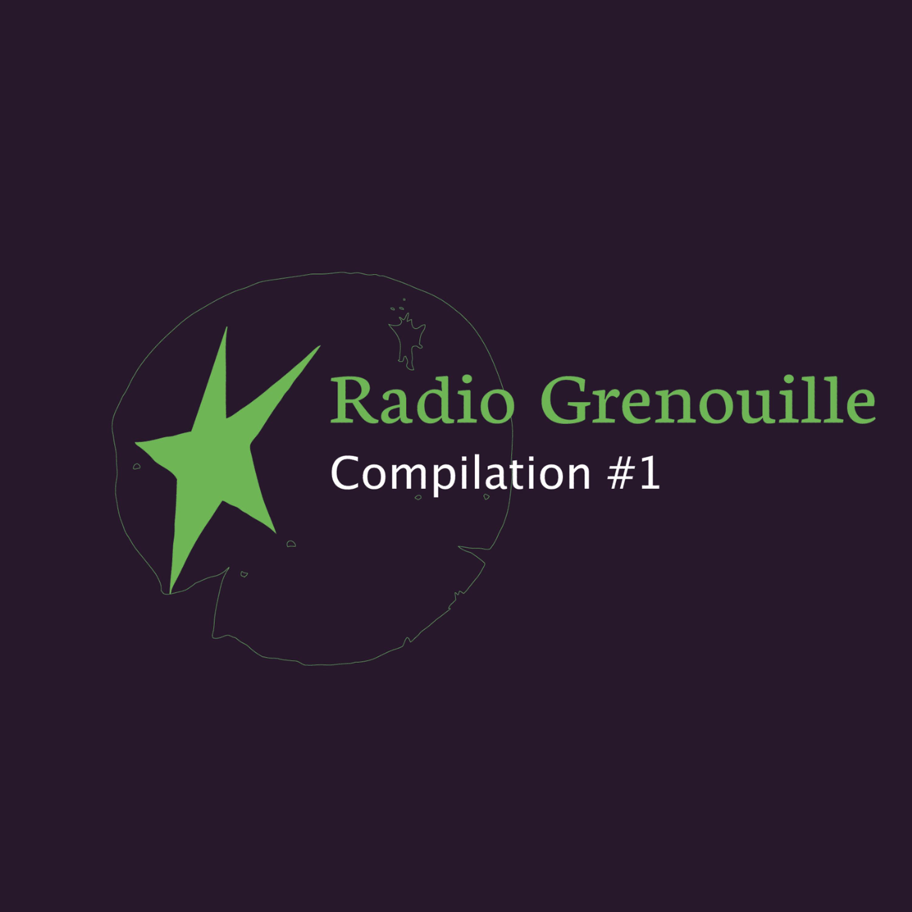 Постер альбома Radio Grenouille Compilation, Vol. 1