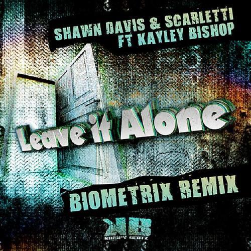 Постер альбома Leave it Alone (Biometrix Remix)