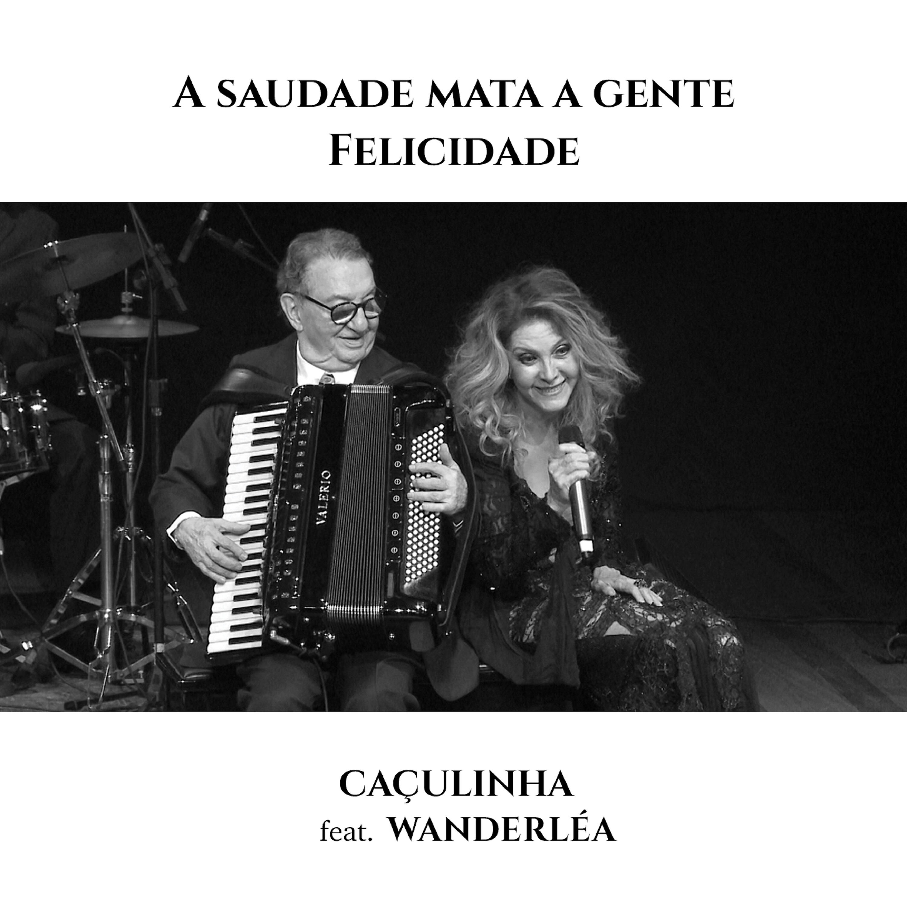 Wanderléa - A Saudade Mata a Gente / Felicidade (Ao Vivo)