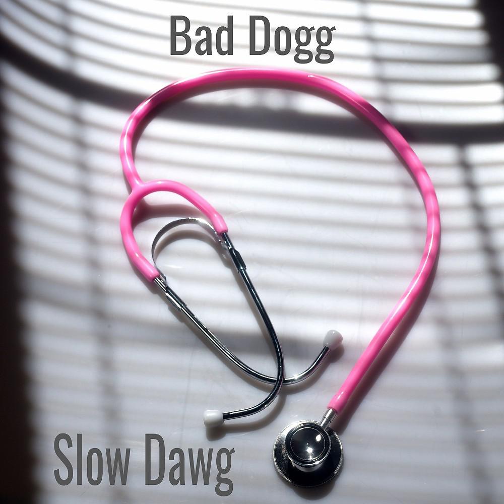 Постер альбома Slow Dawg