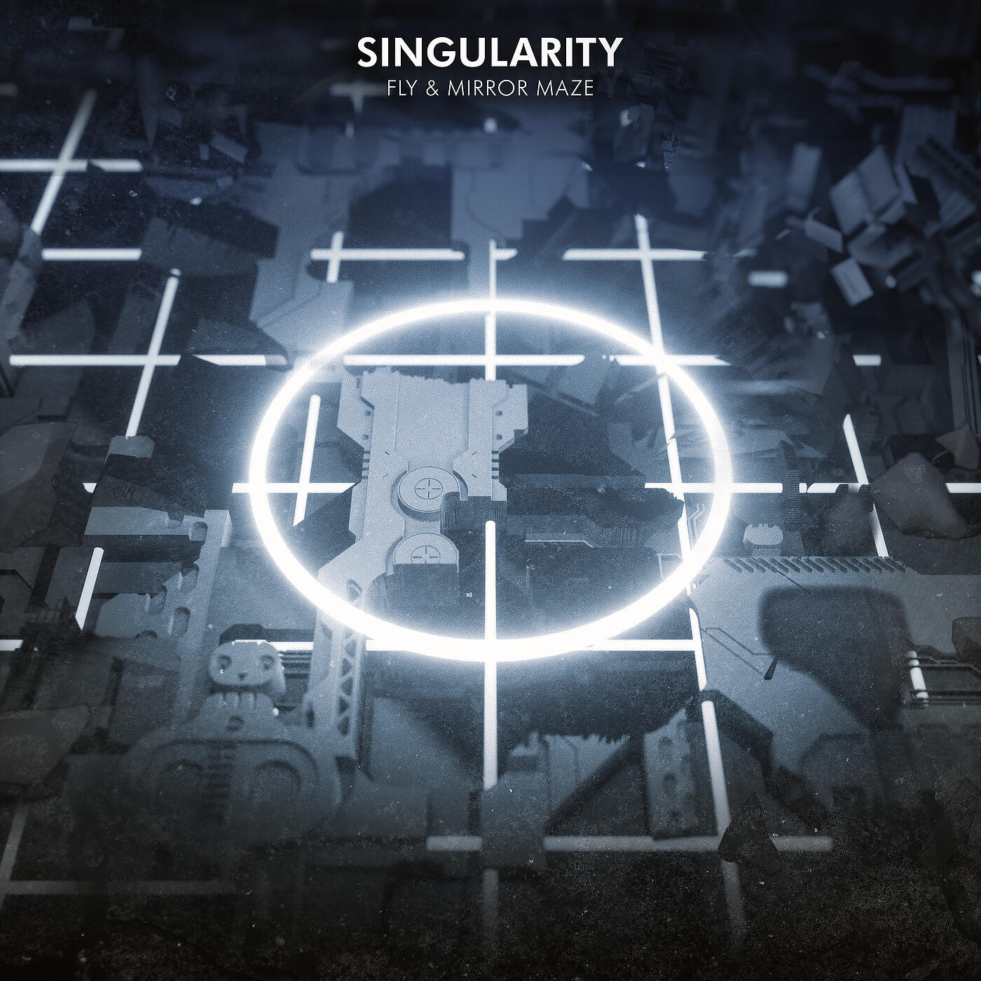 FLY - Singularity