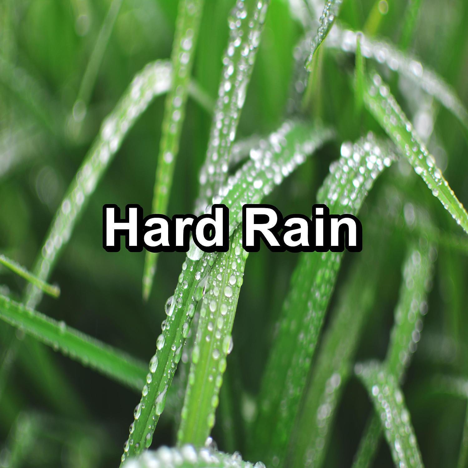 Постер альбома Hard Rain