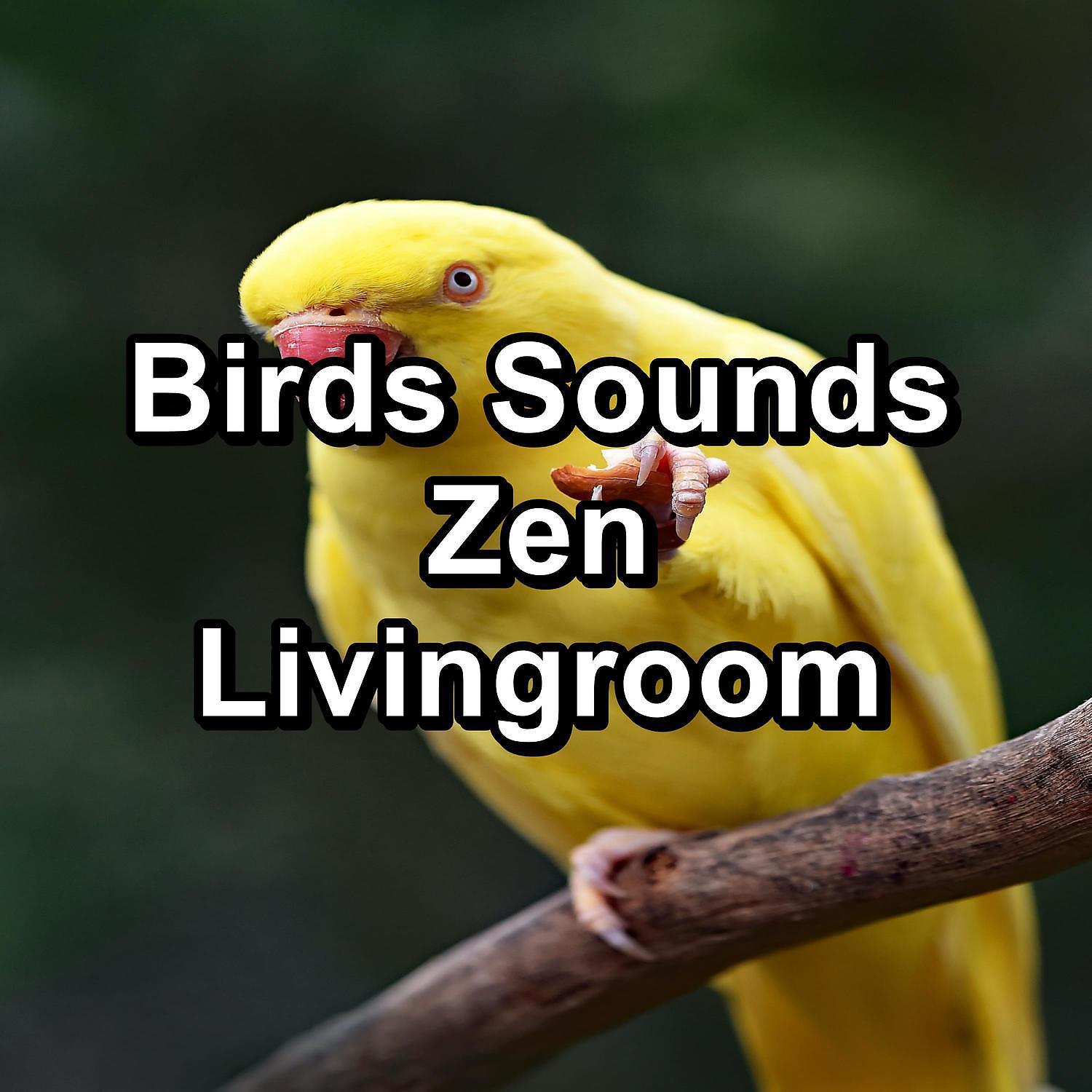 Ocean Wave Sounds - Bird Sounds For Concentration Loop your Whole Sleep