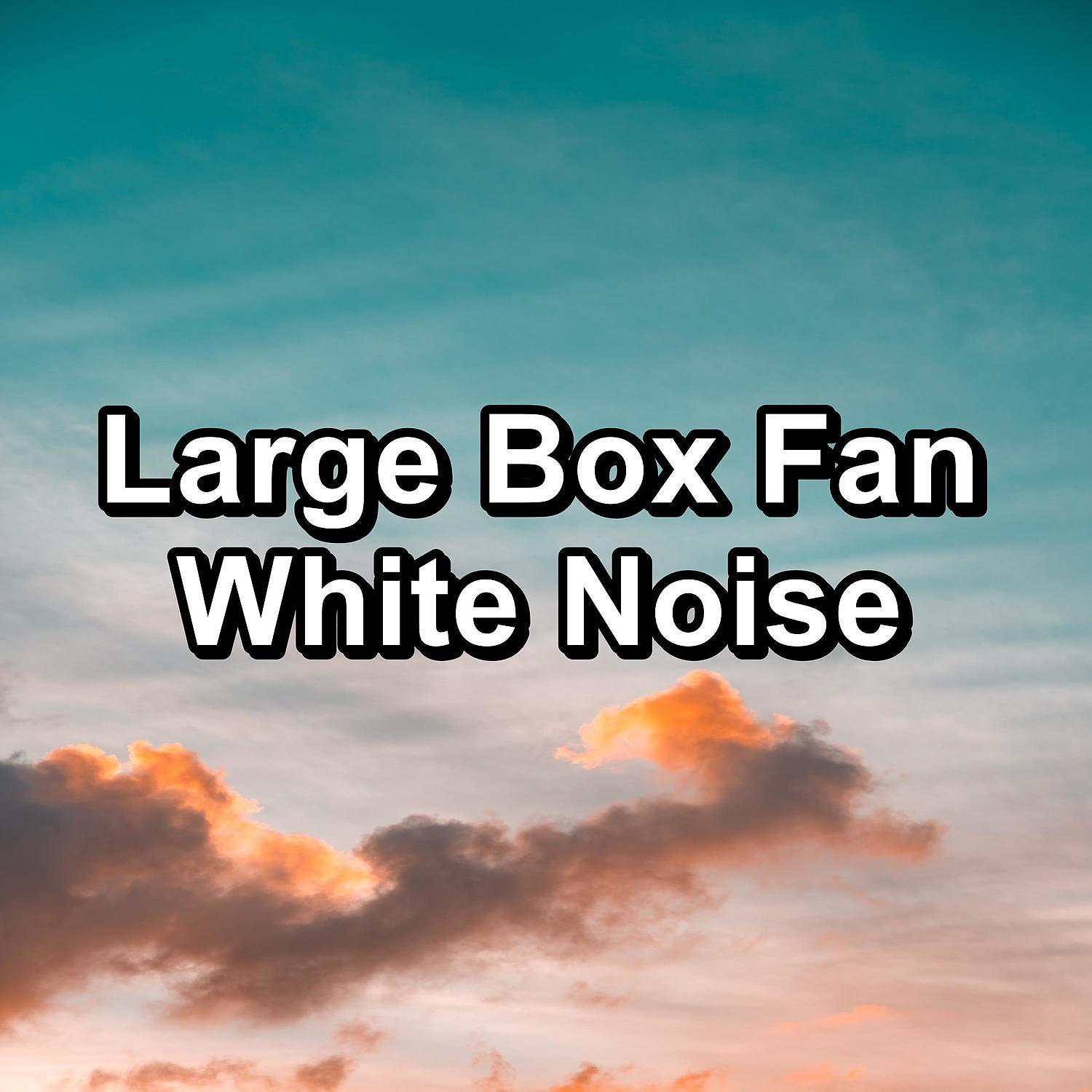 Постер альбома Large Box Fan White Noise