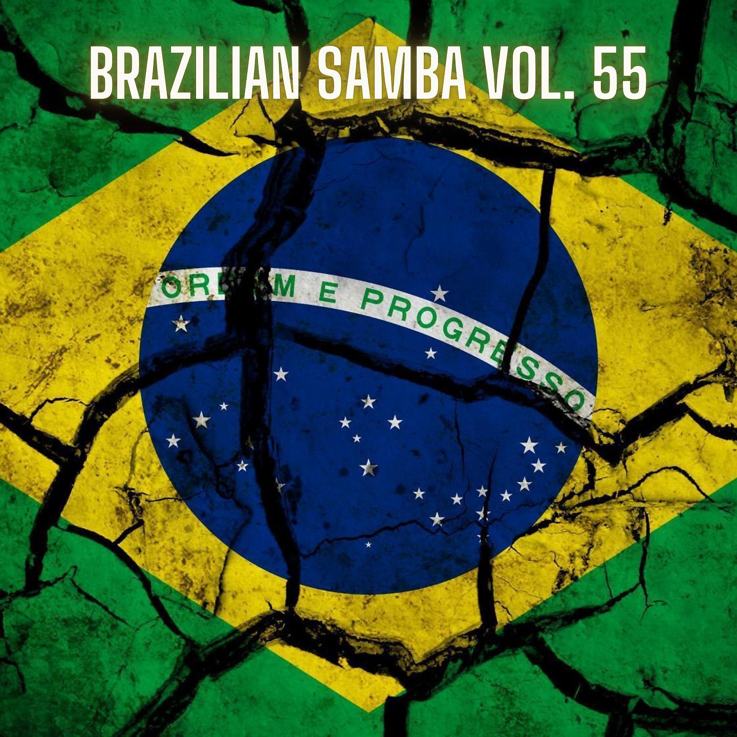 Постер альбома Brazilian Samba Vol. 55