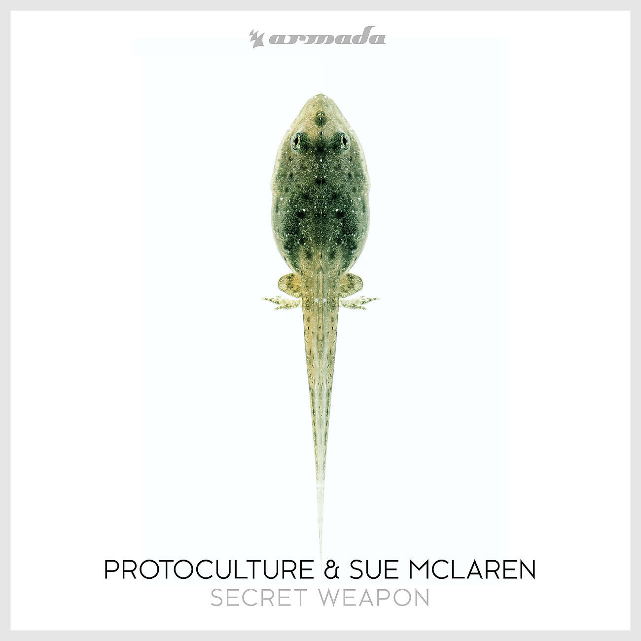 Protoculture - Secret Weapon (Extended Mix)