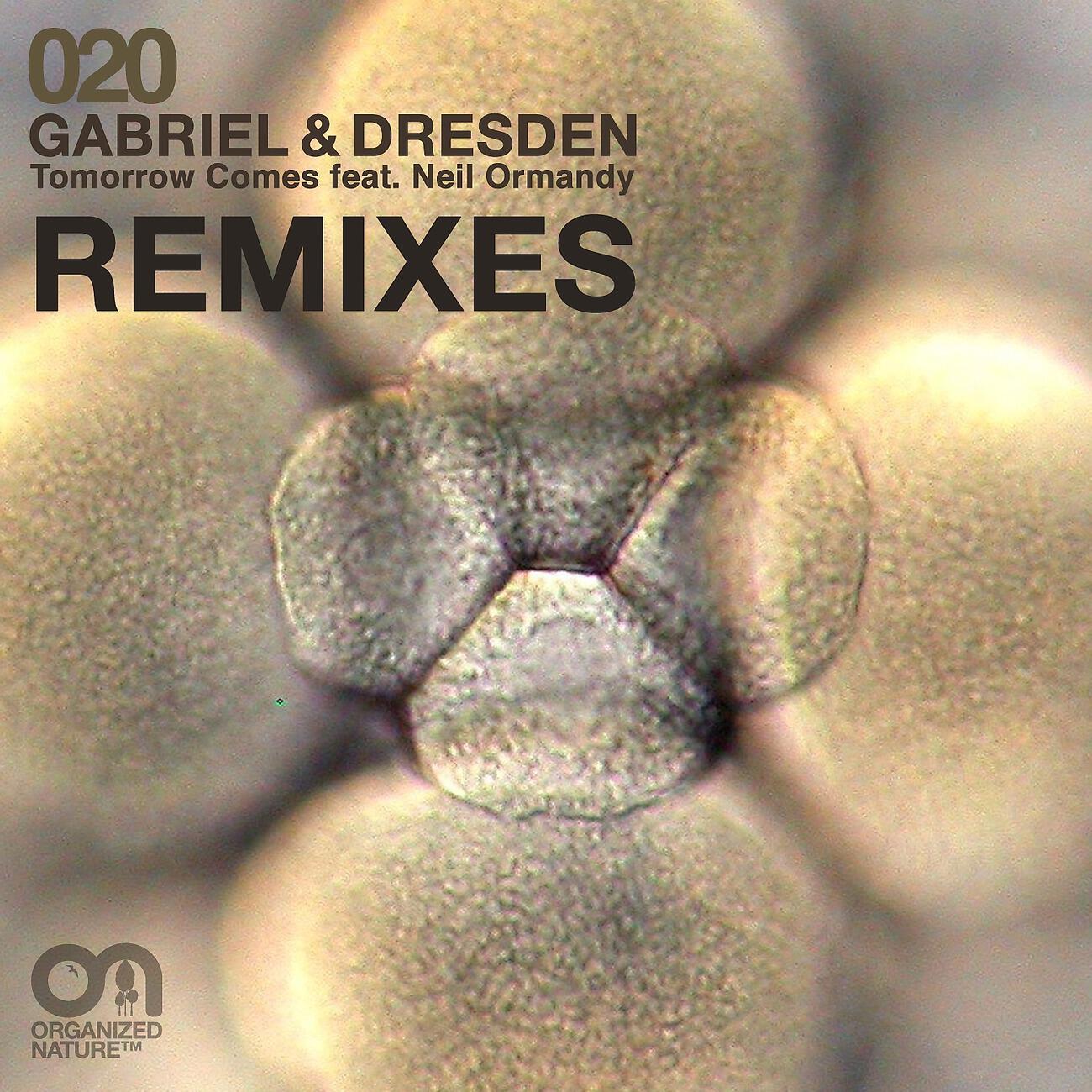 Gabriel & Dresden - Tomorrow Comes (Max Graham vs Protoculture Remix)