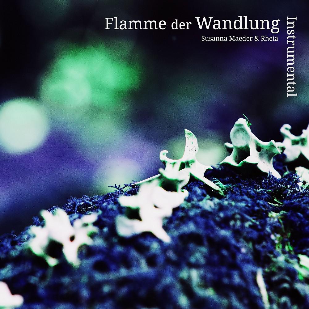 Постер альбома Flamme der Wandlung (Instrumental)