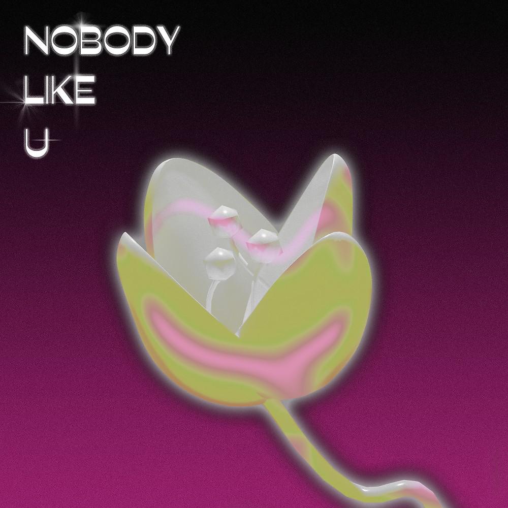 Постер альбома Nobody Like U
