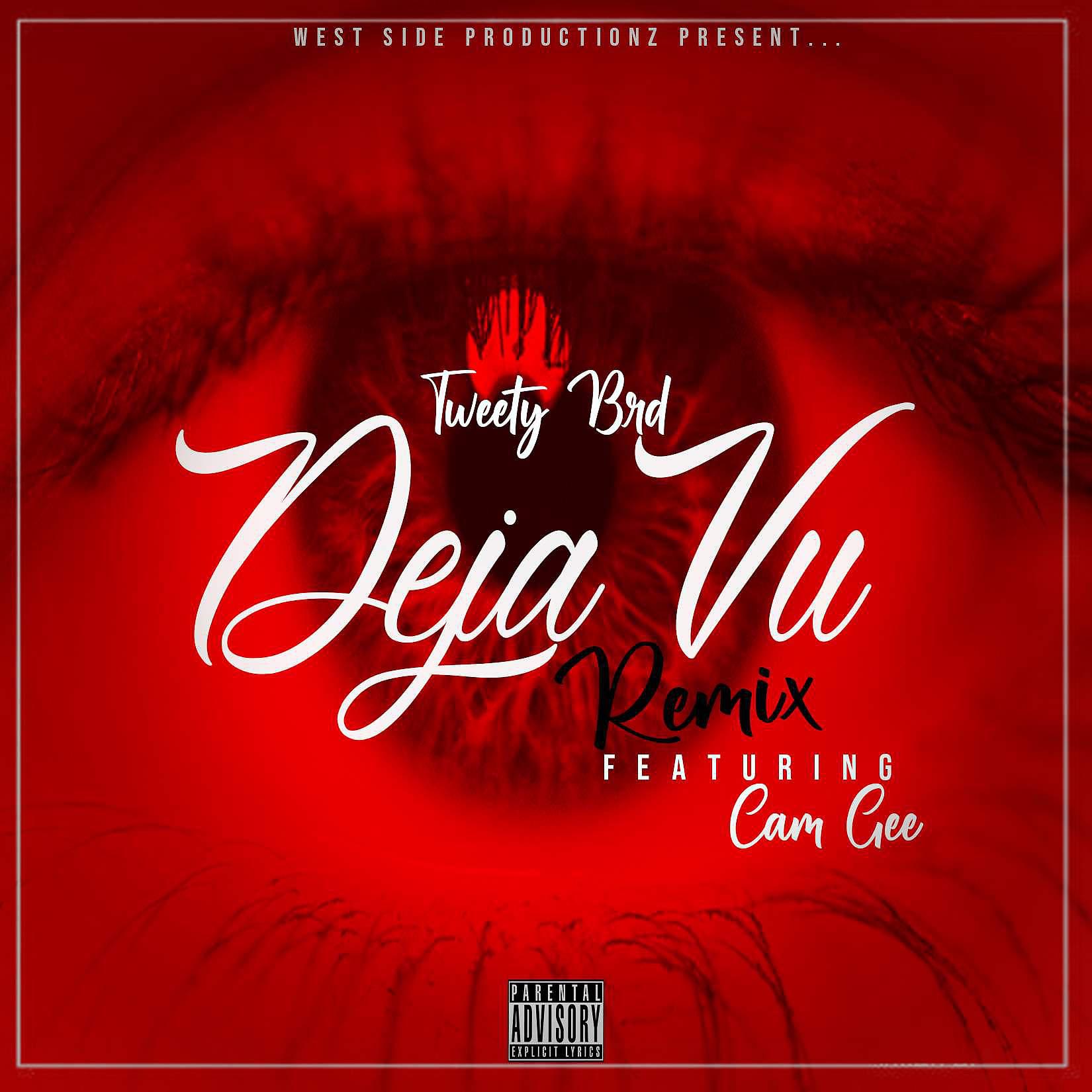 Постер альбома Deja Vu (Remix) [feat. Cam Gee]