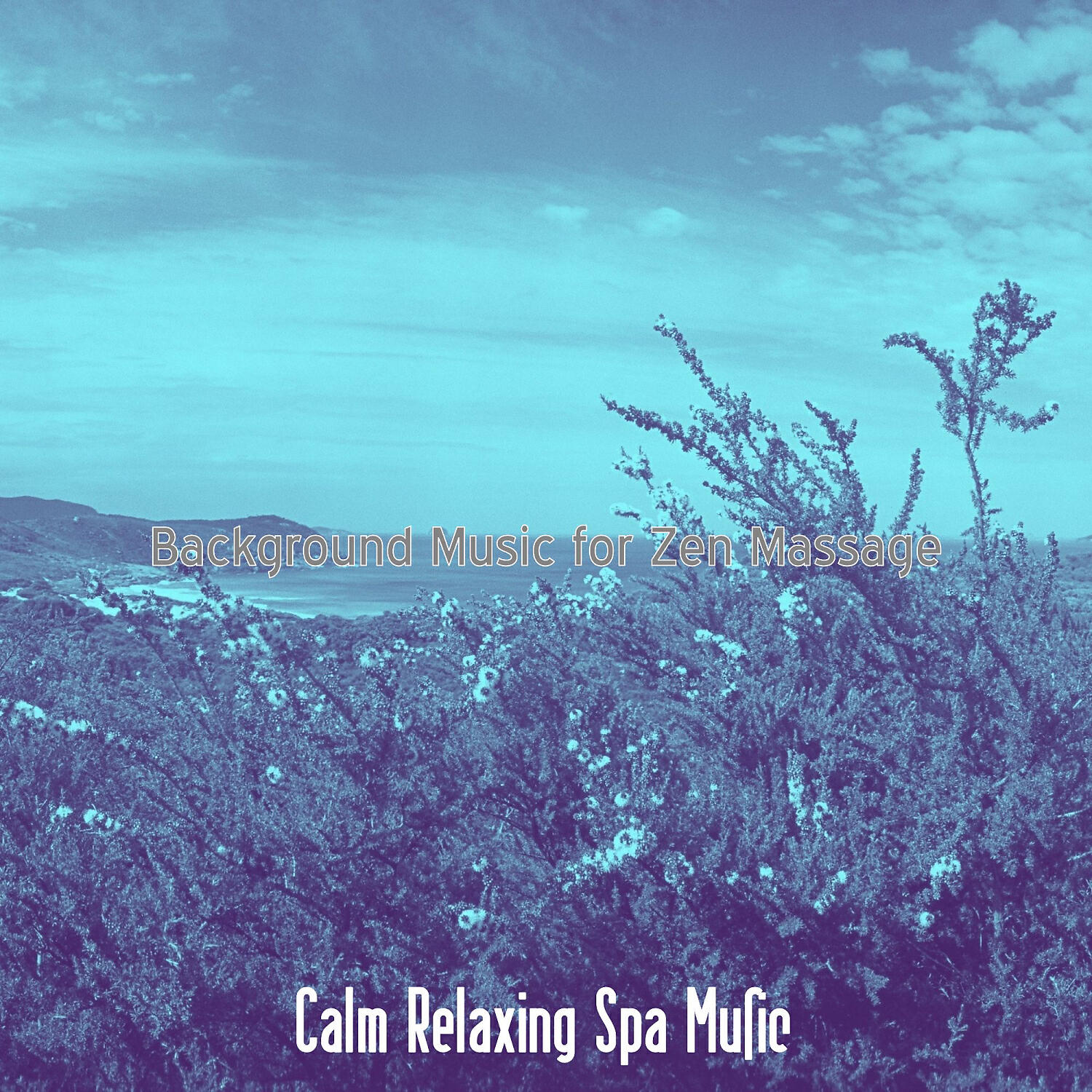 Calm Relaxing Spa Music - Lovely Music for Insomnia