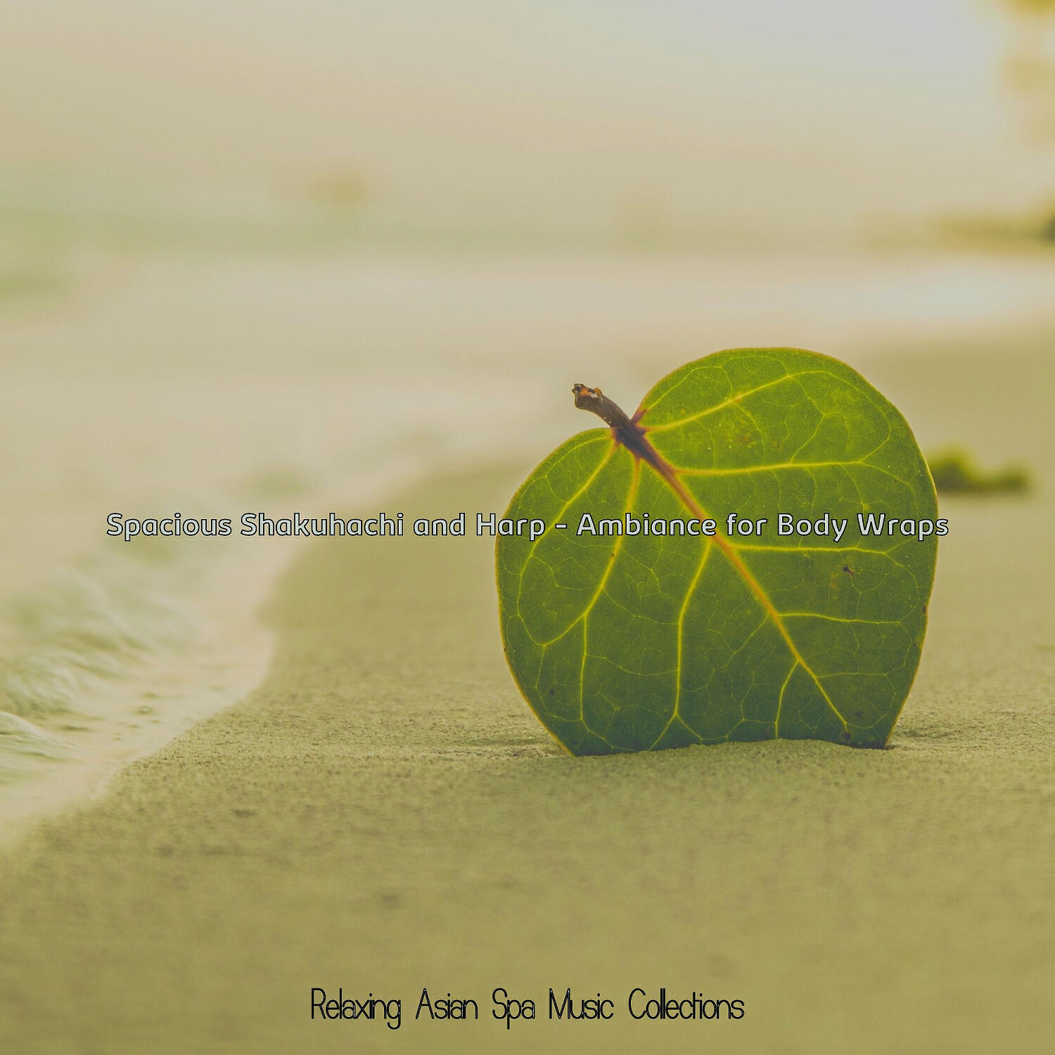 Relaxing Asian Spa Music Collections - Dream Like Music for Body Scrubs