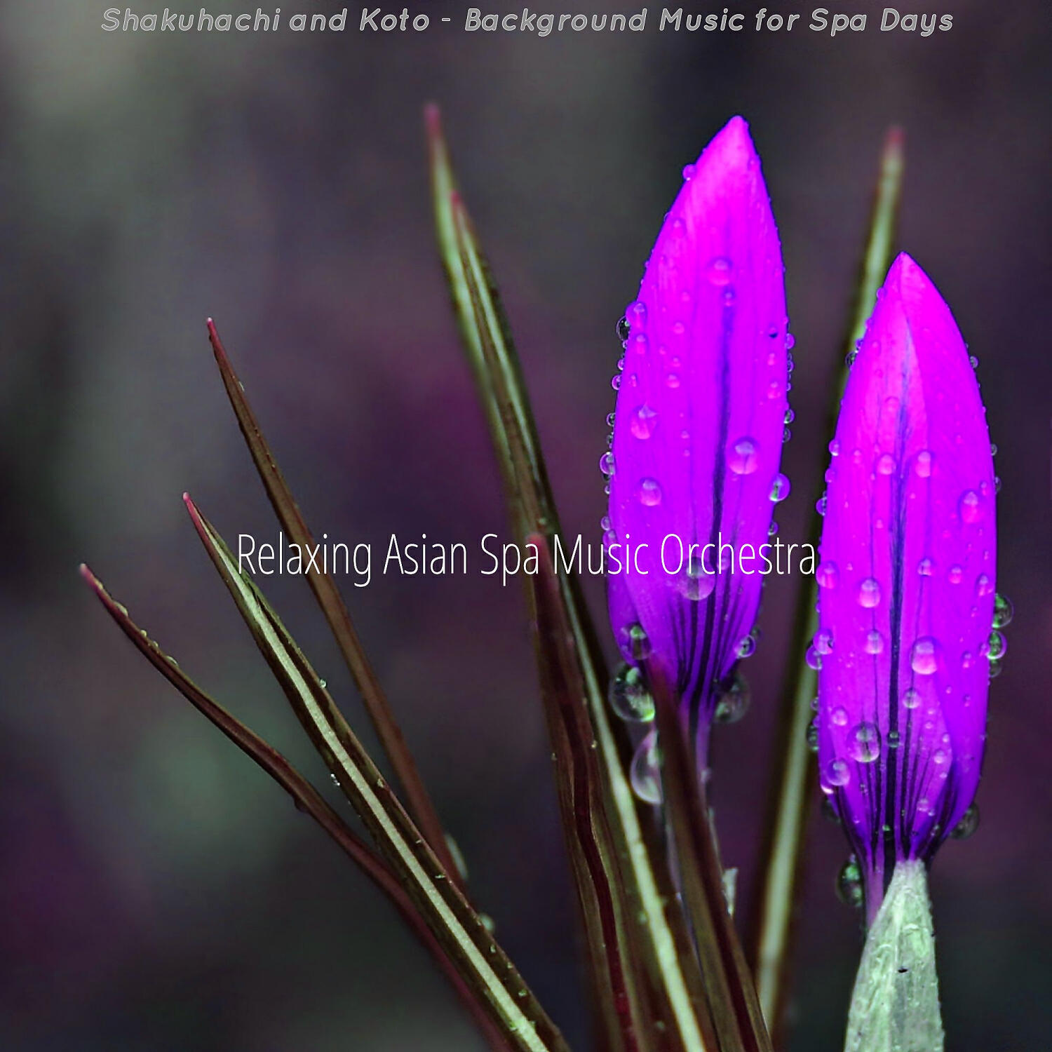 Relaxing Asian Spa Music Orchestra - Fantastic Spa Days