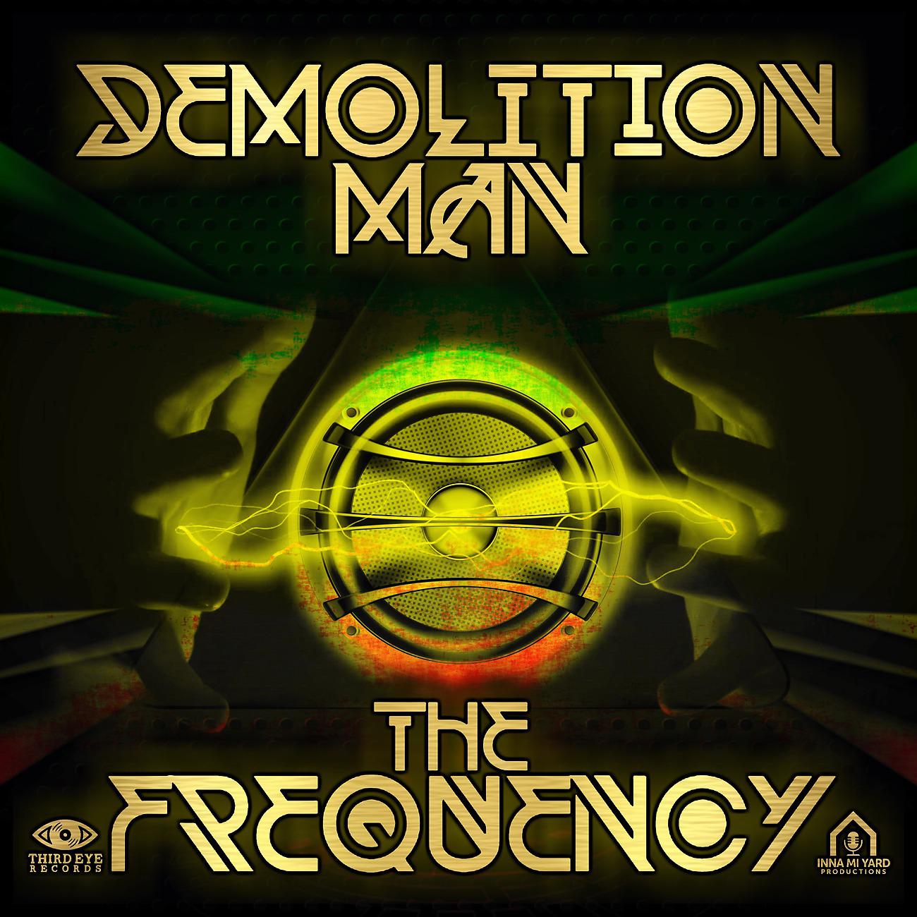Постер альбома The Frequency