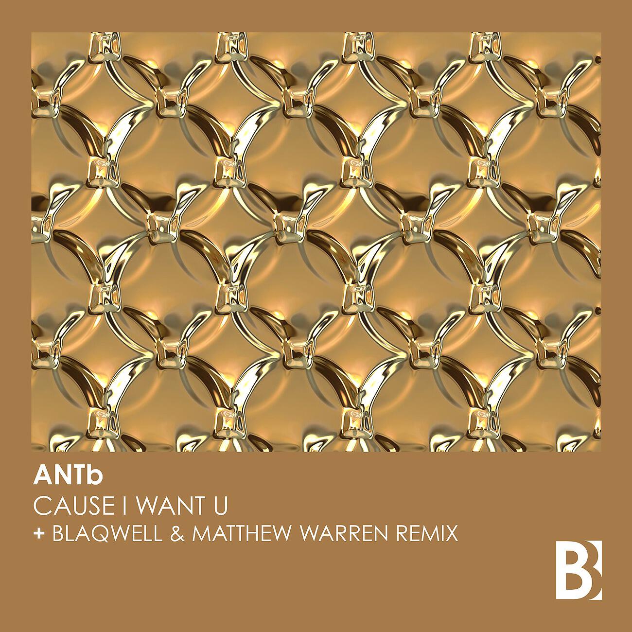ANTb - Cause I Want U (Blaqwell & Matthew Warren Extended Remix)