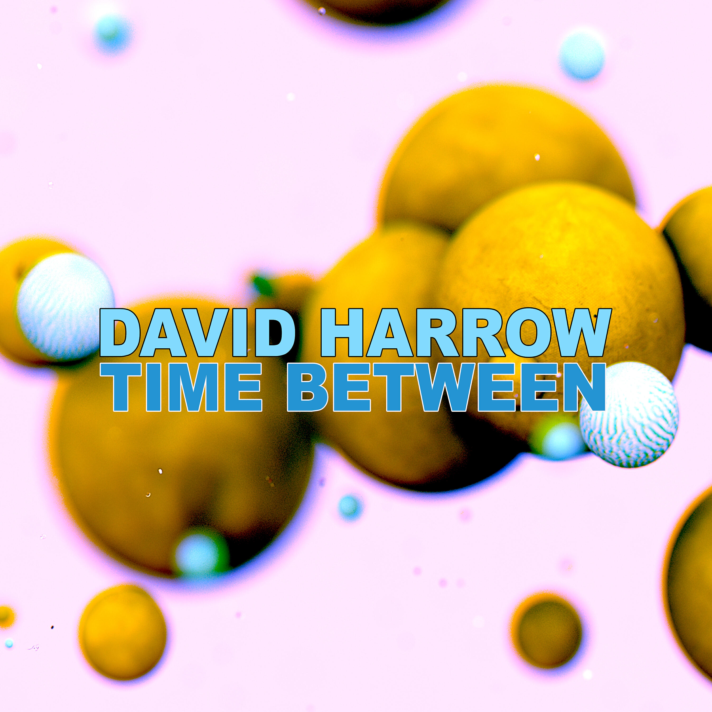 David Harrow - Dog