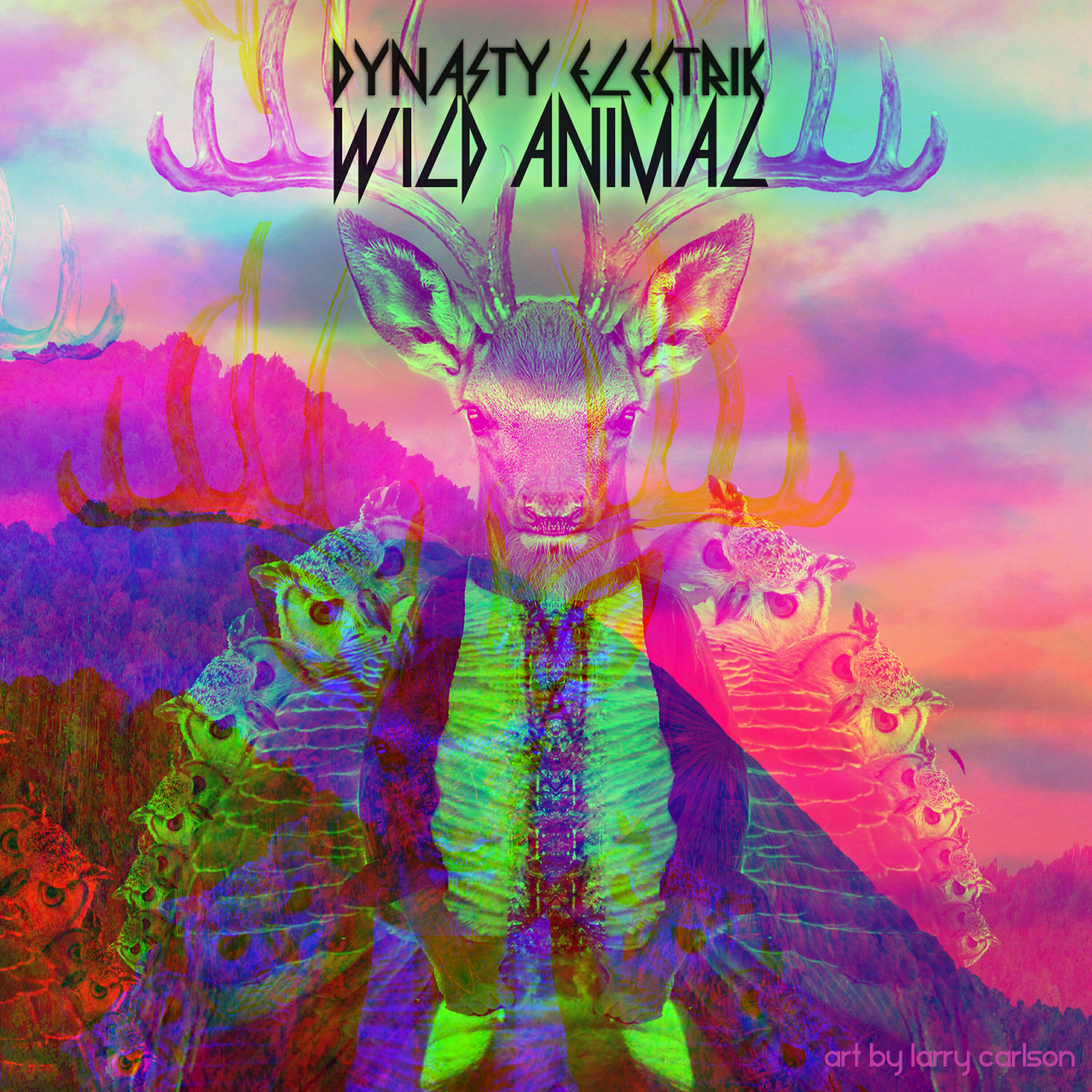 Dynasty Electrik - Wild Animal