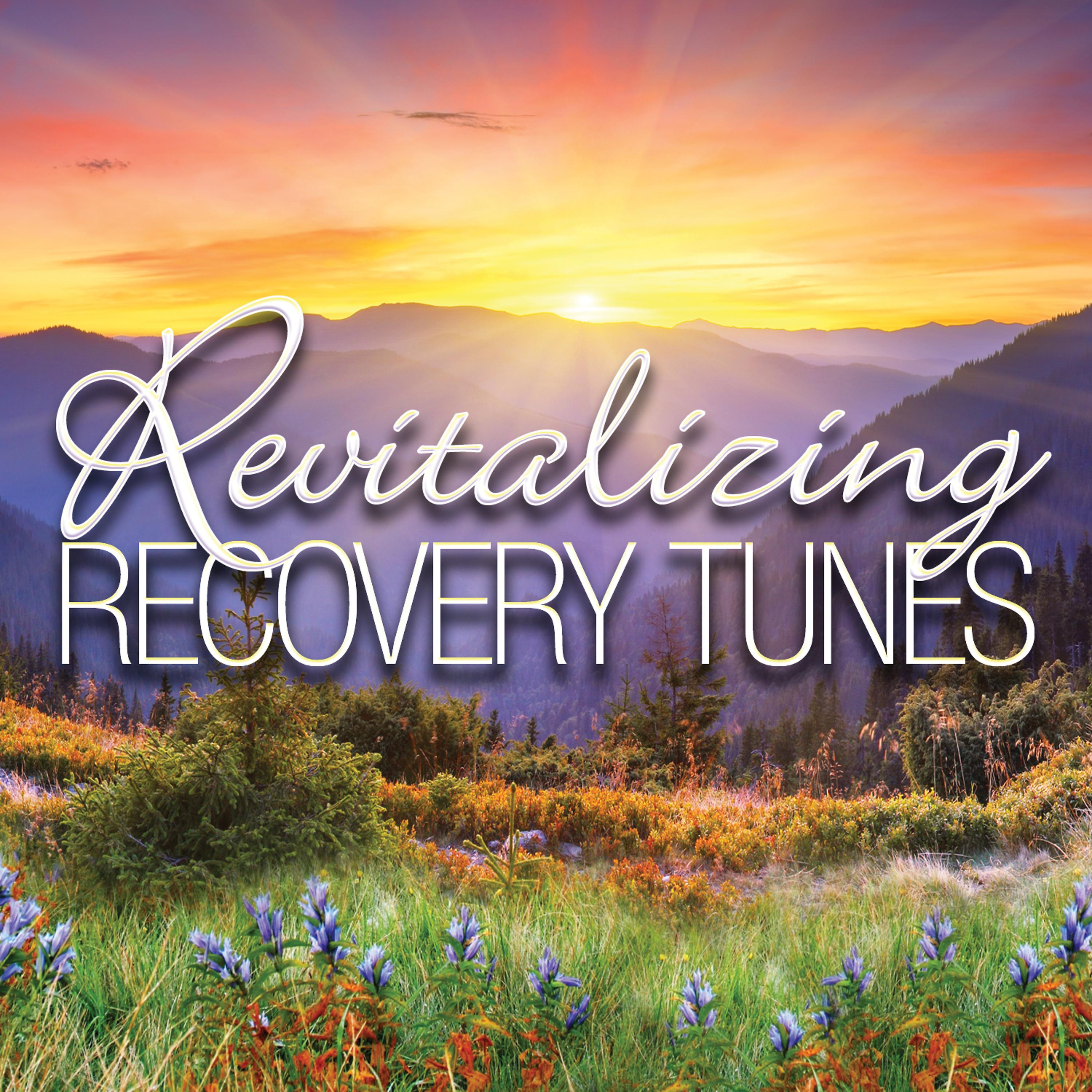 Постер альбома Revitalizing Recovery Tunes