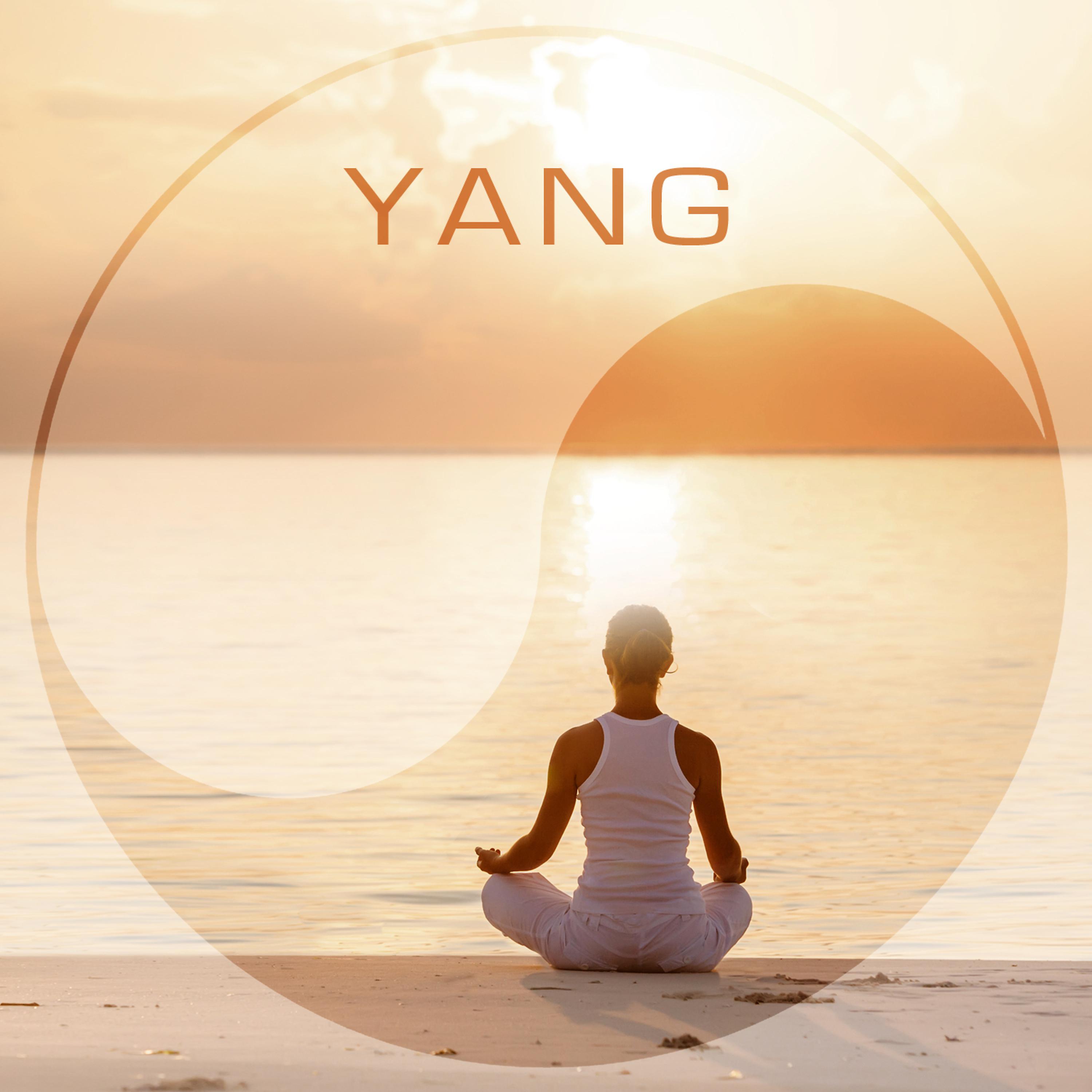 Постер альбома Yang