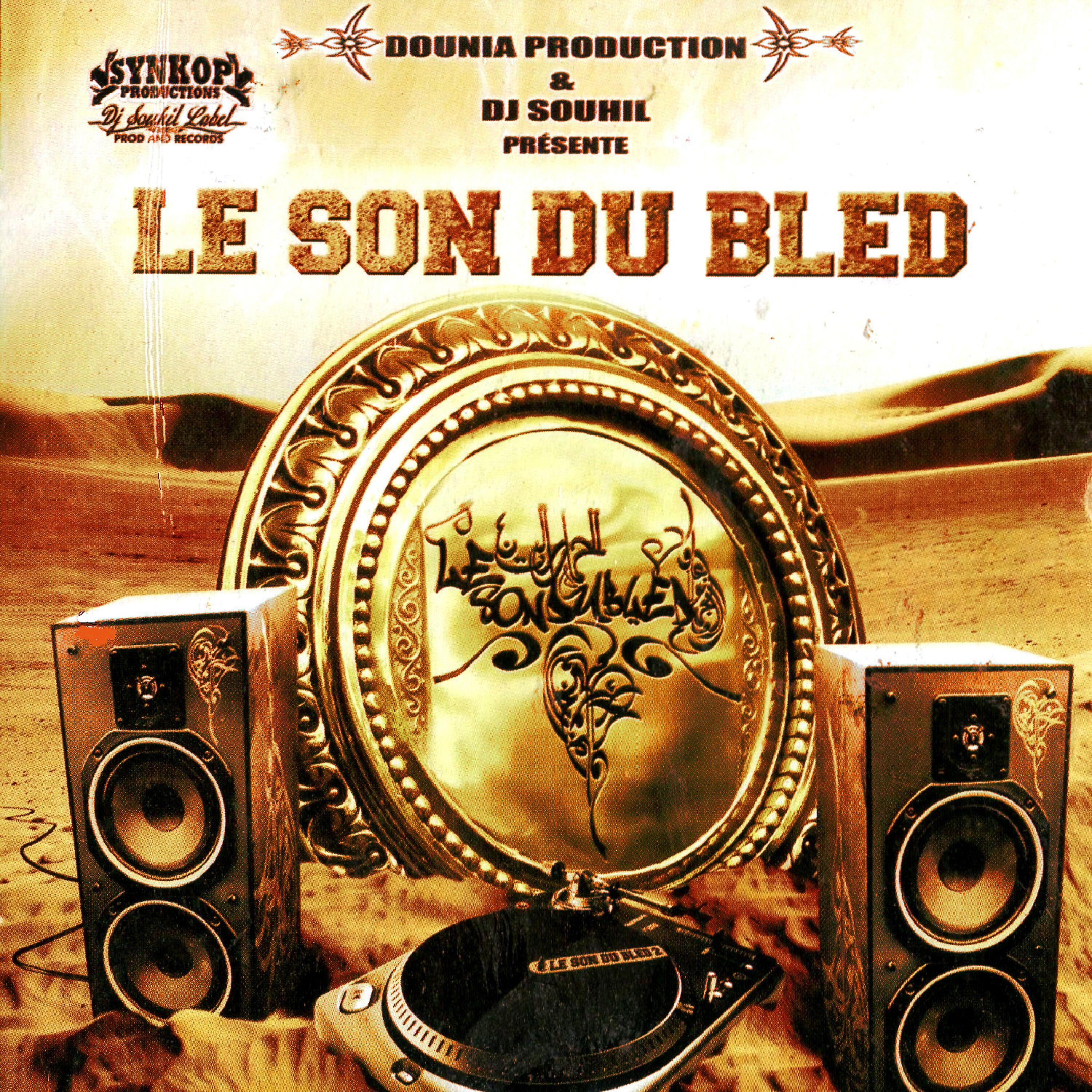 Amine Dib - Que faire