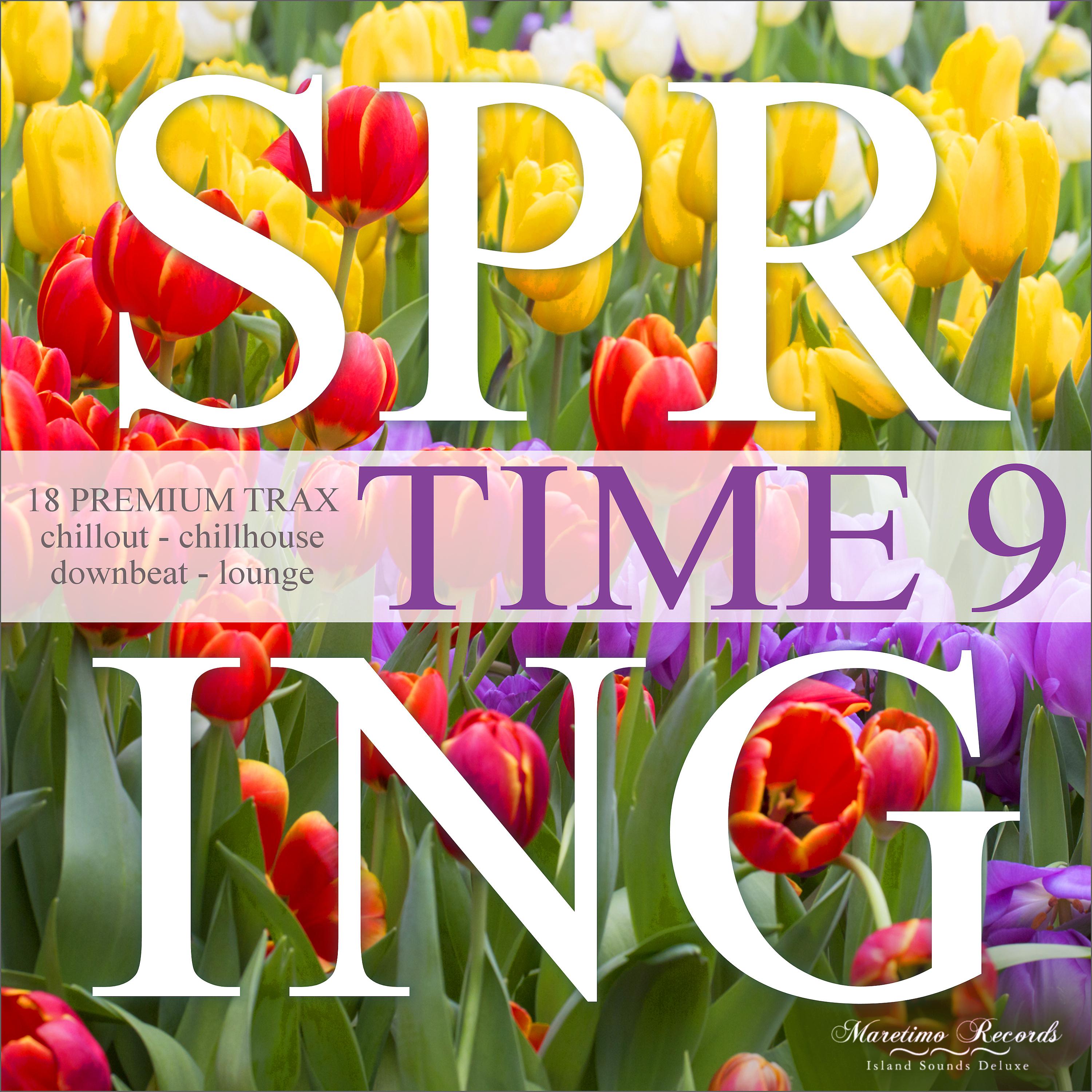 Постер альбома Spring Time, Vol. 9 - 18 Premium Trax: Chillout, Chillhouse, Downbeat, Lounge