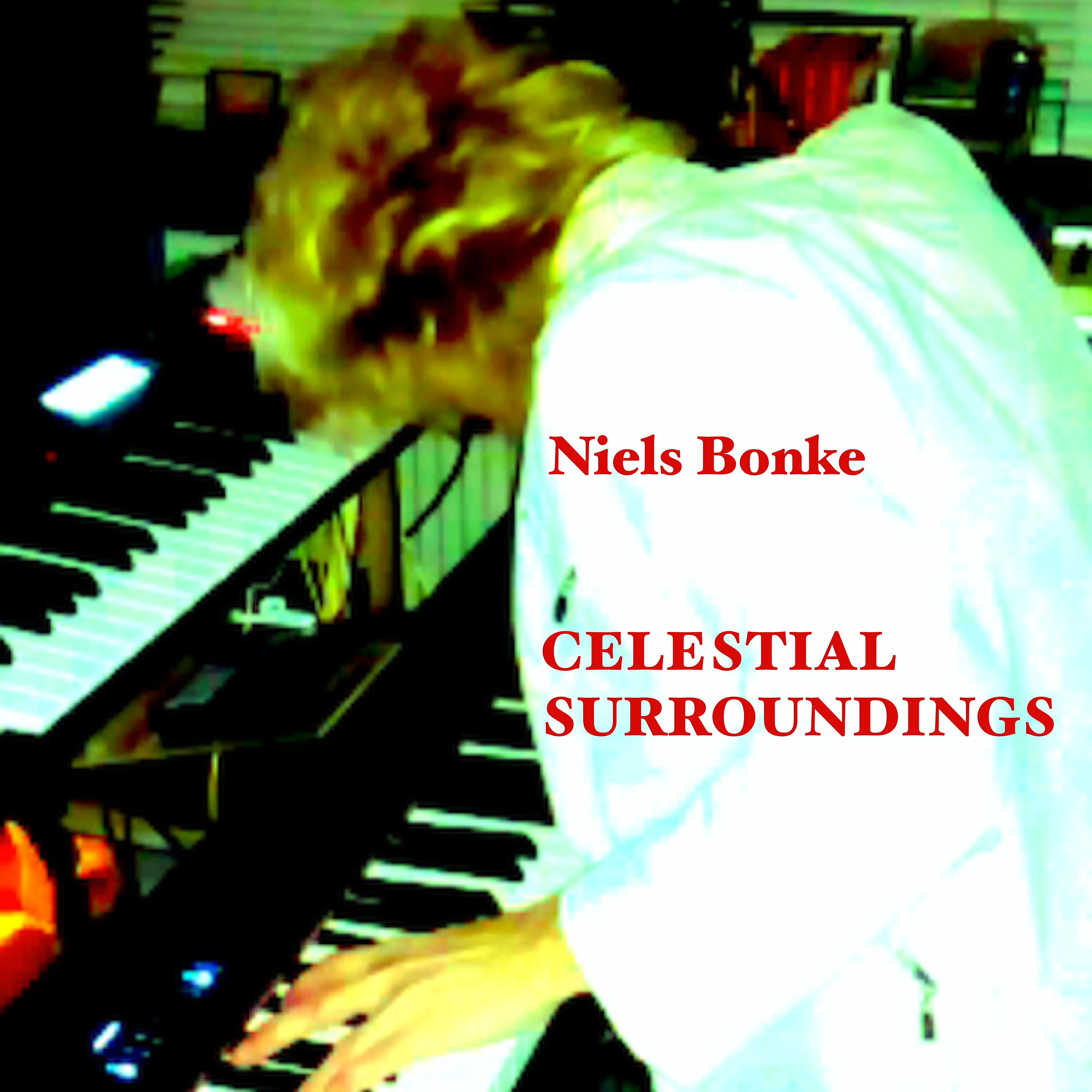 Niels Bonke - It Was His Last Resort