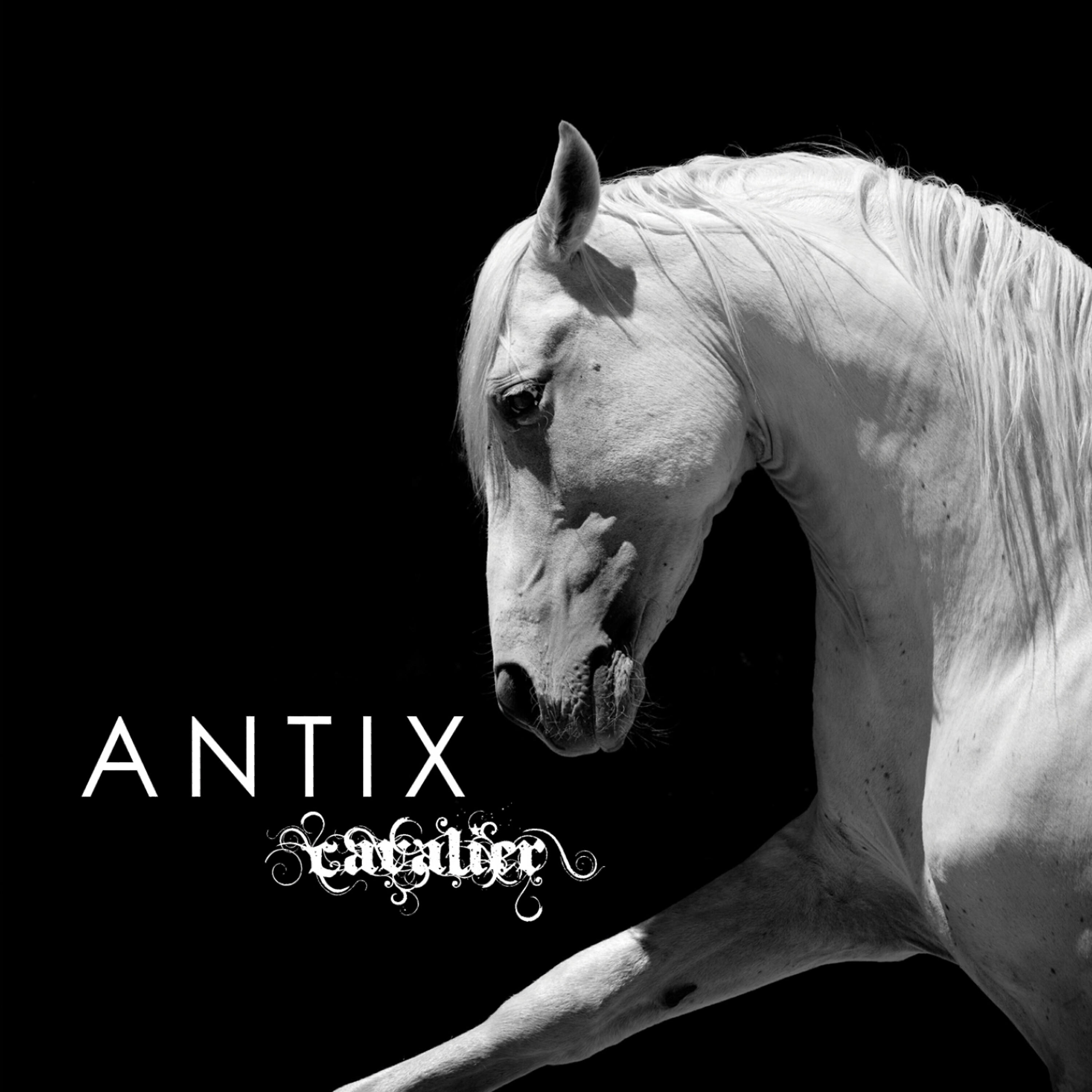 Antix - The Hoard (Dousk Remix)