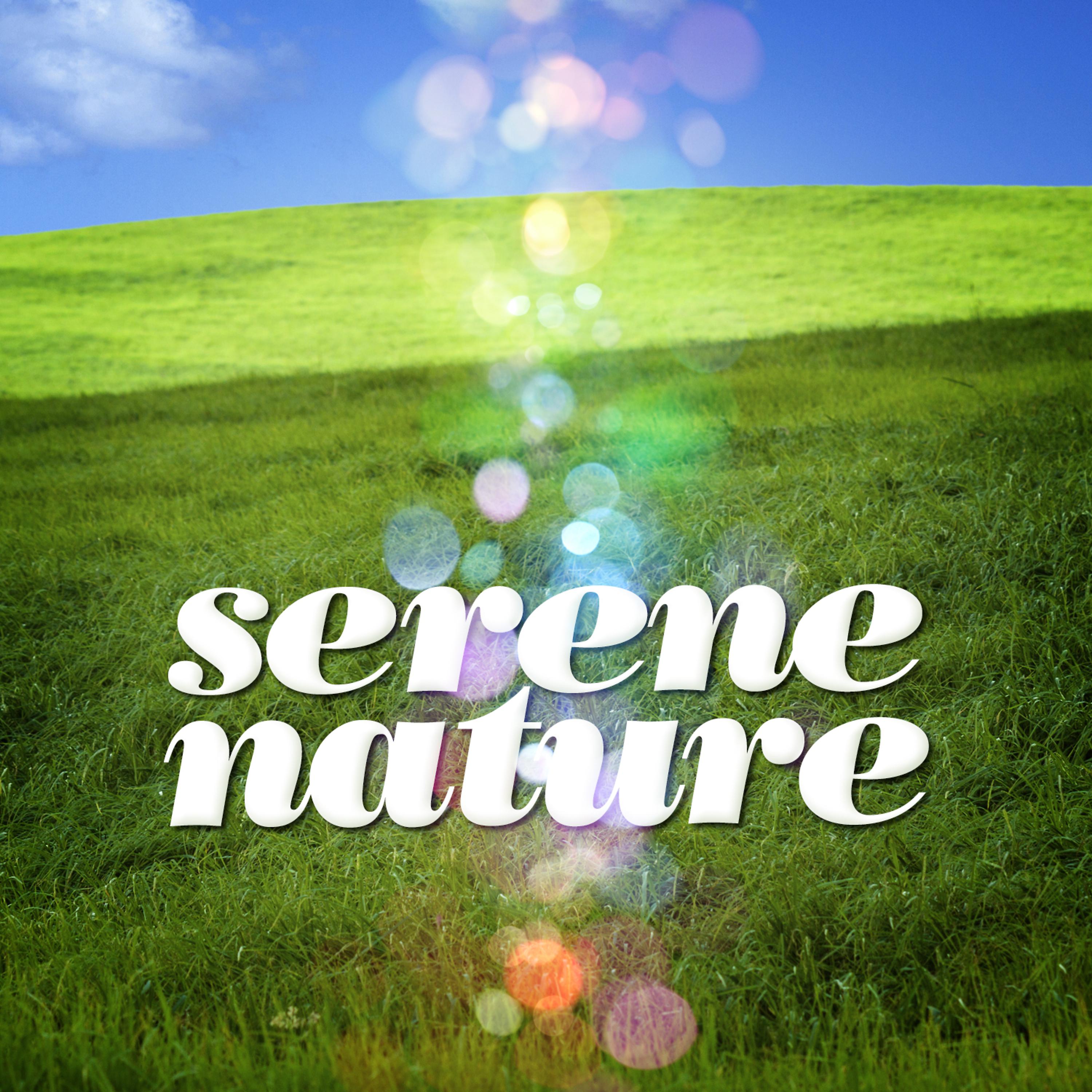 Постер альбома Serene Nature