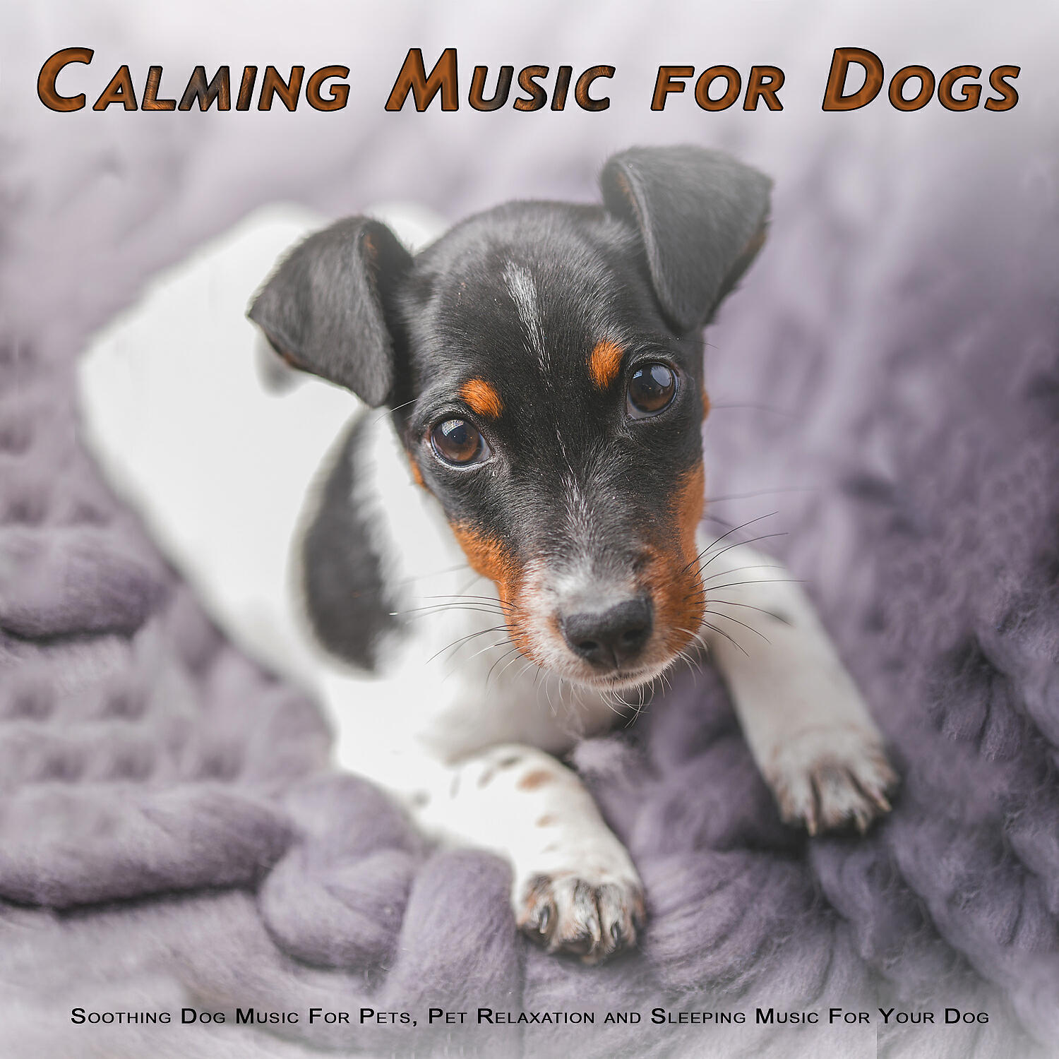 Dog Music - Dog Music
