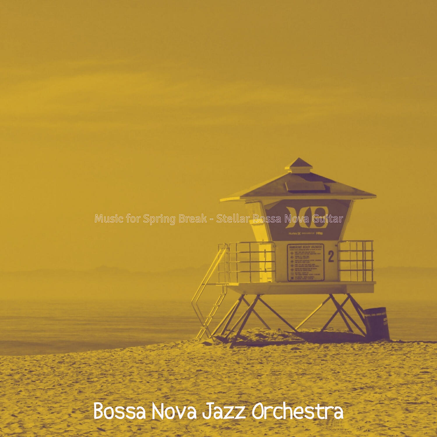 Bossa Nova Jazz Orchestra - Brilliant Saxophone Bossa Nova - Vibe for Beaches