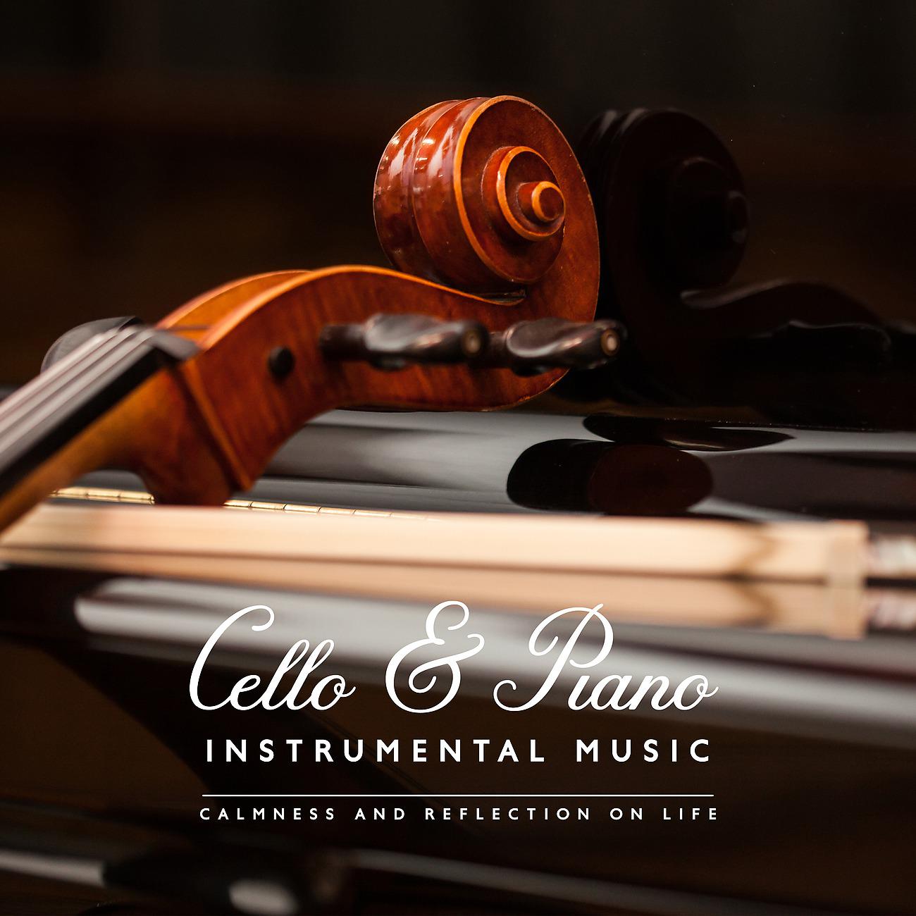 Постер альбома Cello & Piano Instrumental Music. Calmness and Reflection on Life
