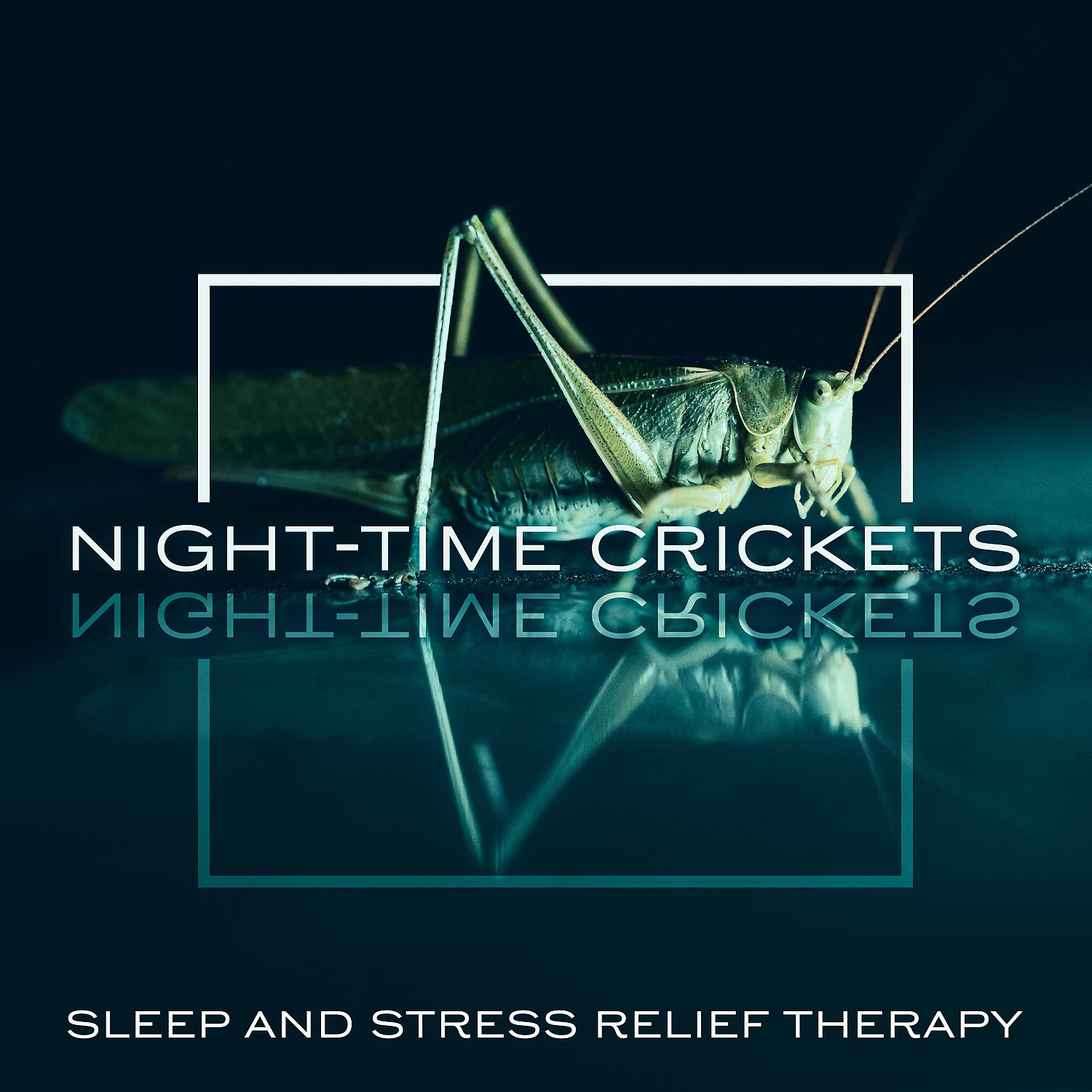 Постер альбома Night-time Crickets: Sleep and Stress Relief Therapy, Peaceful Music, Nature Sounds, Relaxing Piano, Guitar & Flute (Deep Sleep Music)