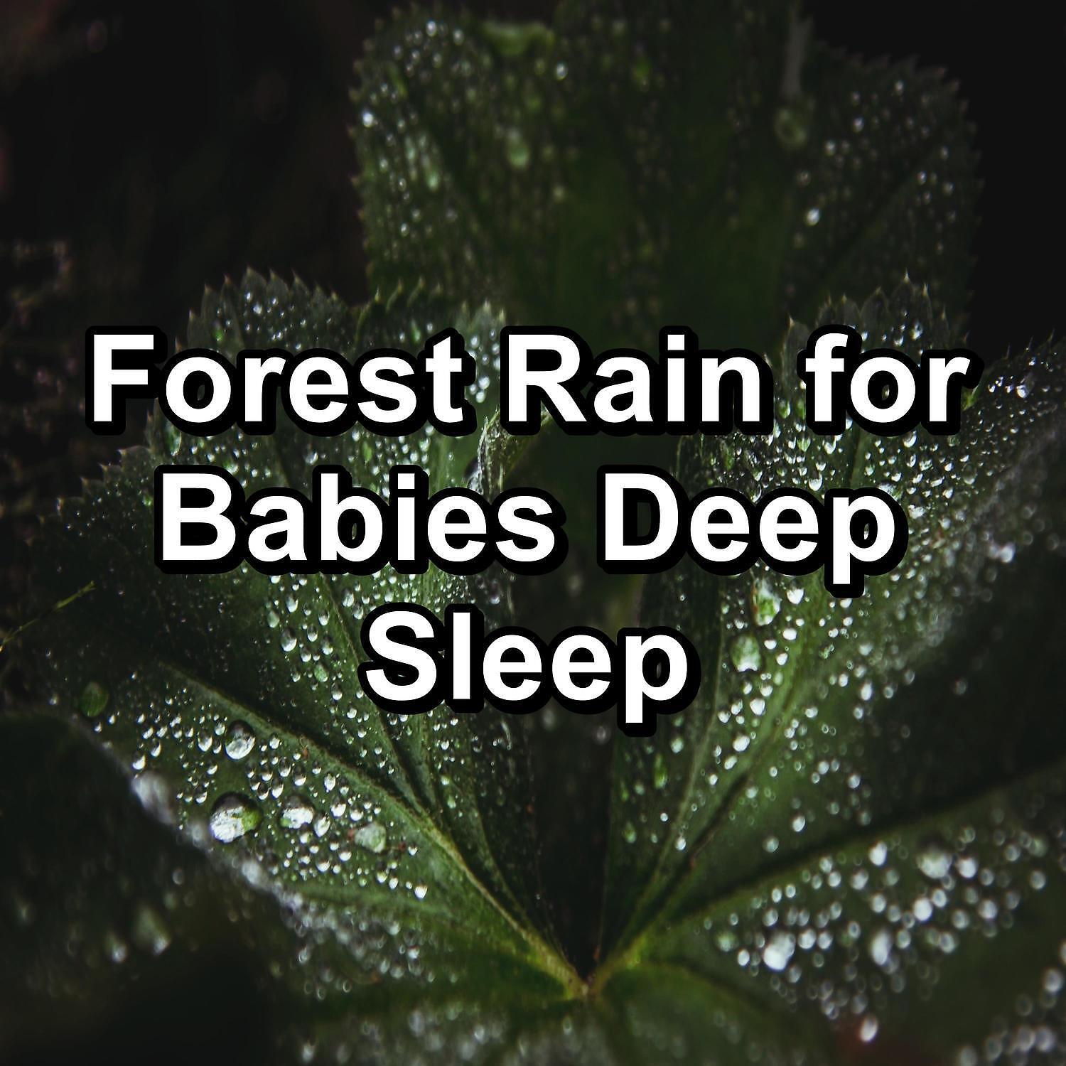 Nature Sounds - Gutter Rain Anti Stress To Sleep with for 8 Hours