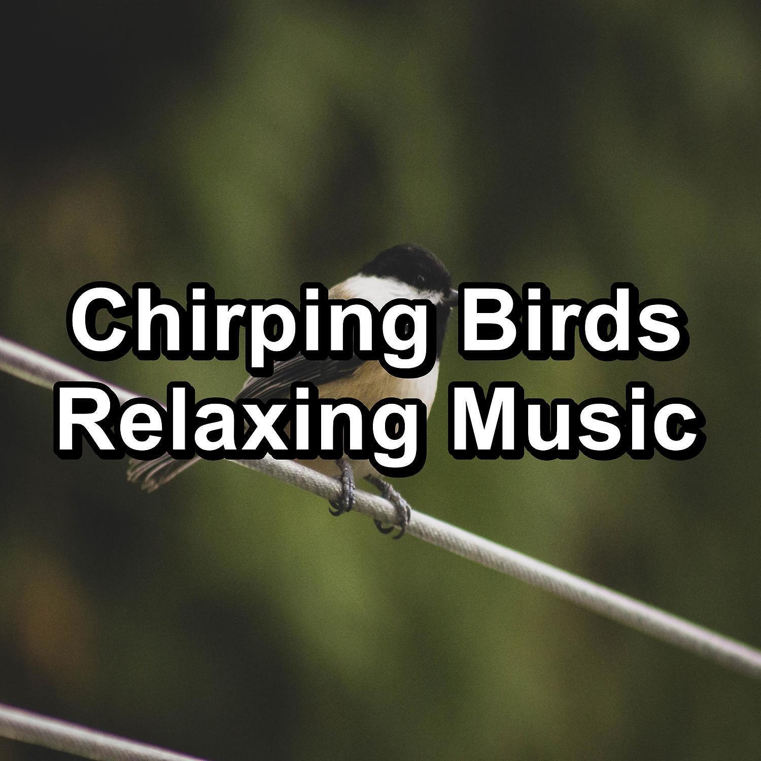 Ocean Waves for Deep Sleep - Beautiful Bird Sounds For a Cozy Living Room For Babies and Infants