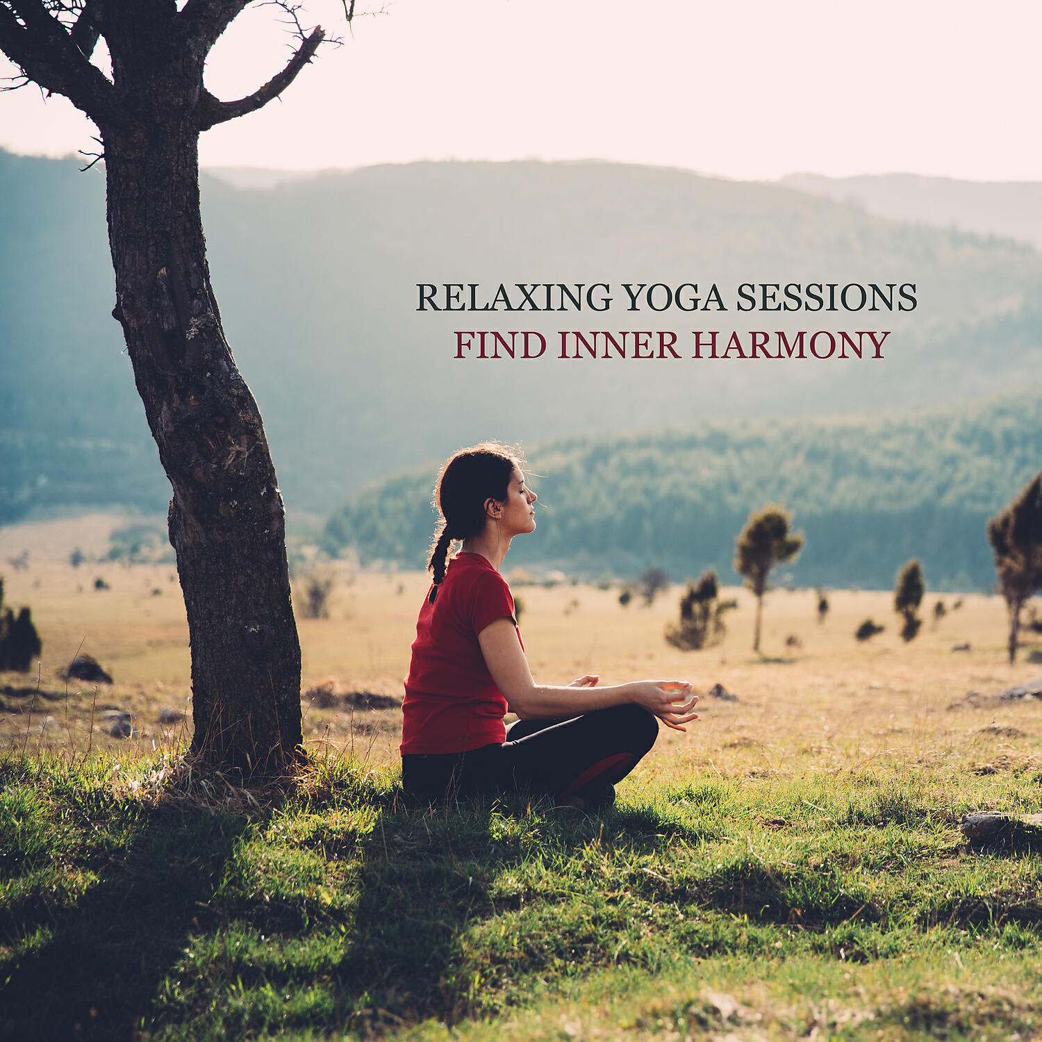 System for Chakra - Sparrows in the Evening