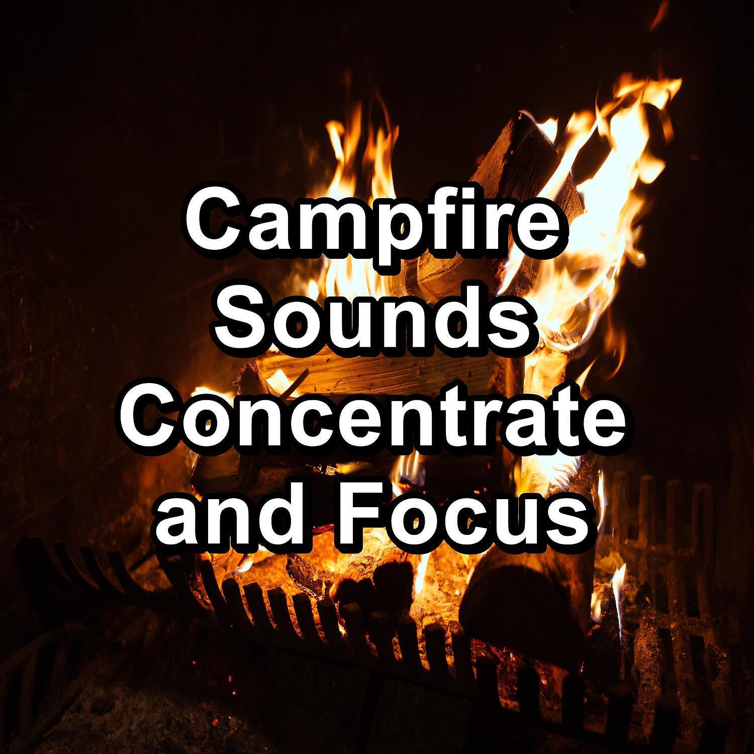 Ocean Wave Sounds - The Campfire Instant Deep Sleep Loop The Audio for 8 Hours